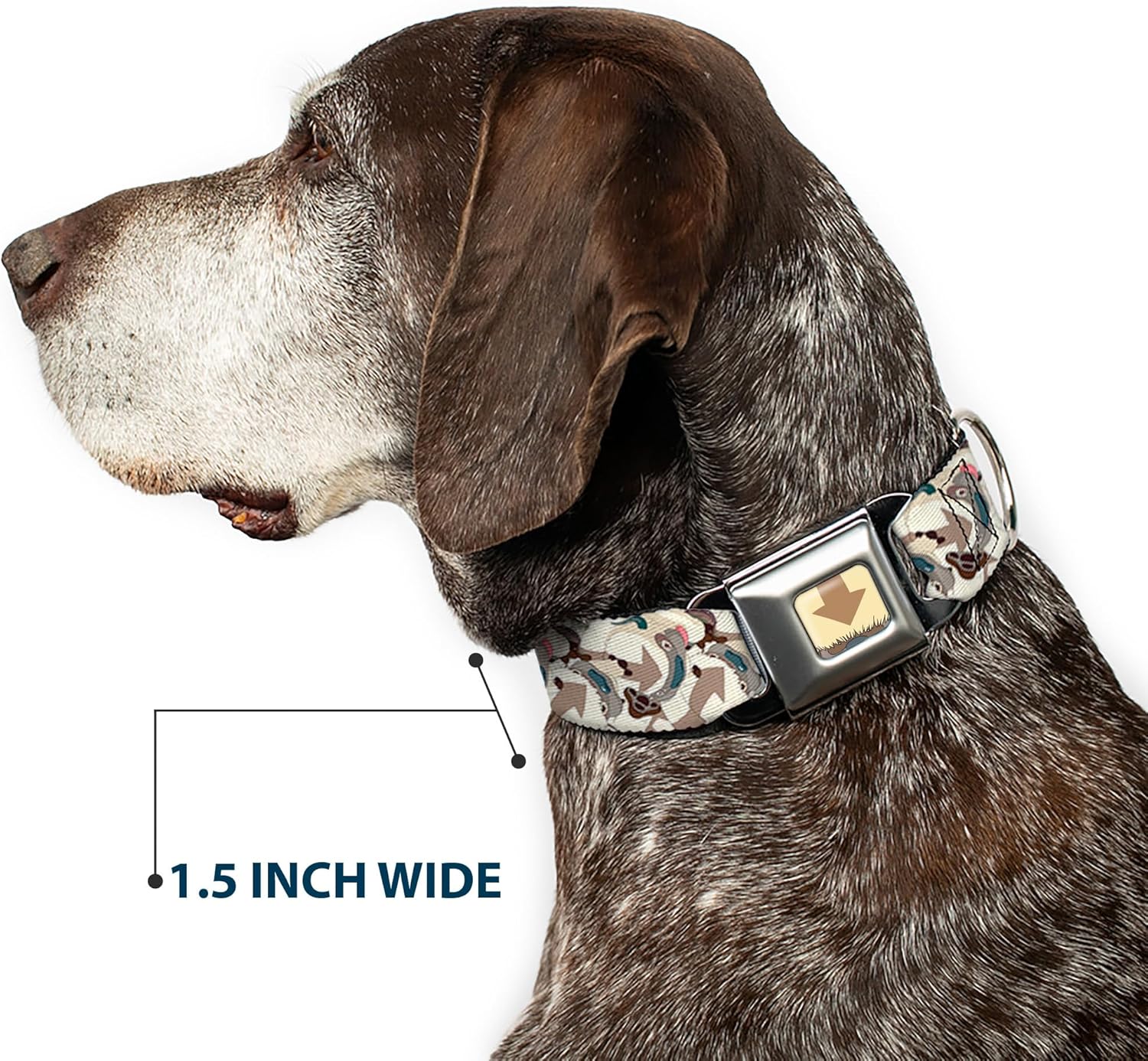 Buckle-Down Dog Collar Seatbelt Buckle Avatar The Last Airbender Appa Pose Stacked 1" Wide - Fits 11-16.5" Neck - Medium, DC-SB-ALAJ-WALA007-1.0-M