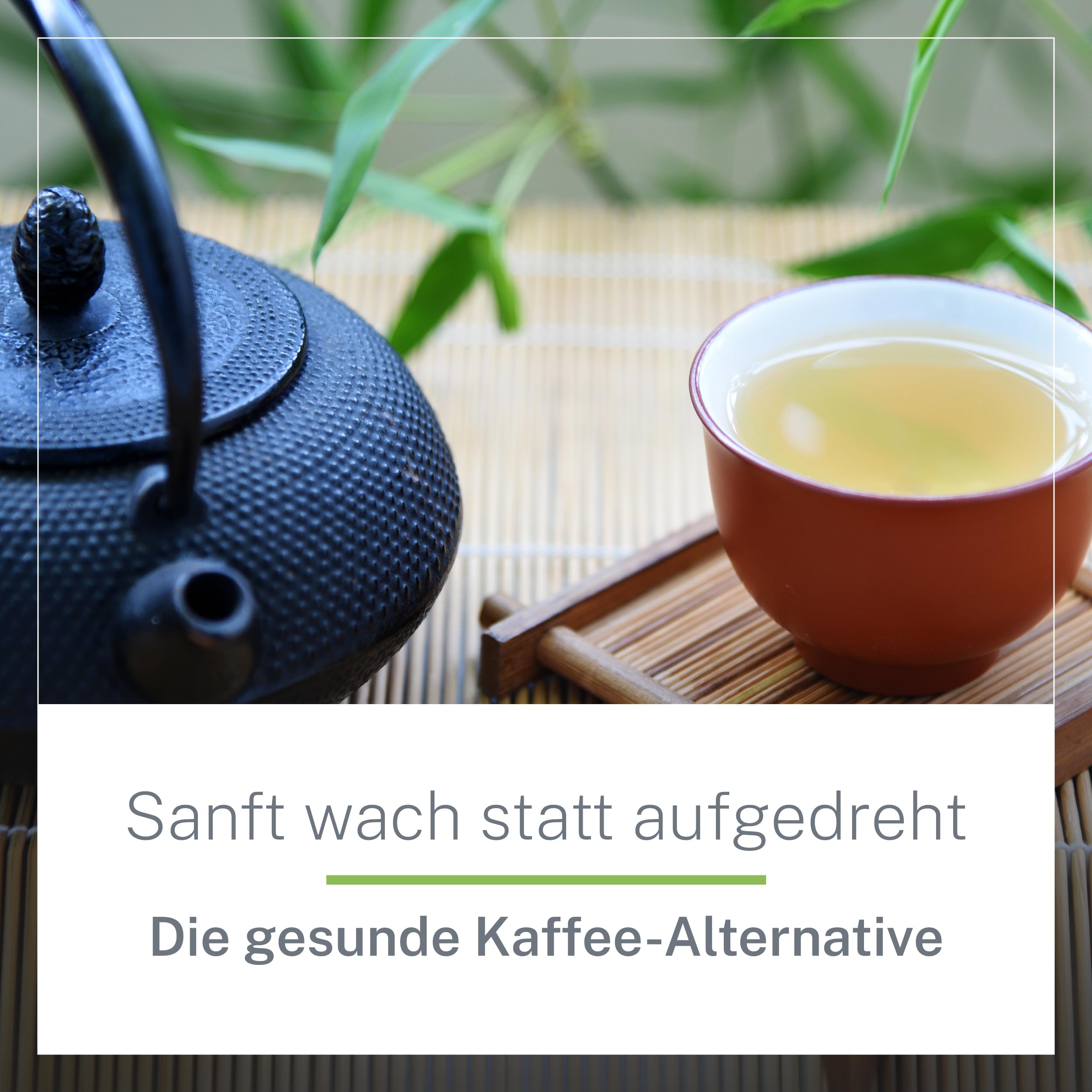 China Sencha Bio-Tee 1kg Loser Tee – Hochwertiger Grüntee lose in Bio-Qualität aus China – Grasig-Frisches Aroma – - Kaffee-Ersatz – MyCupOfTea (Packung mit 2)