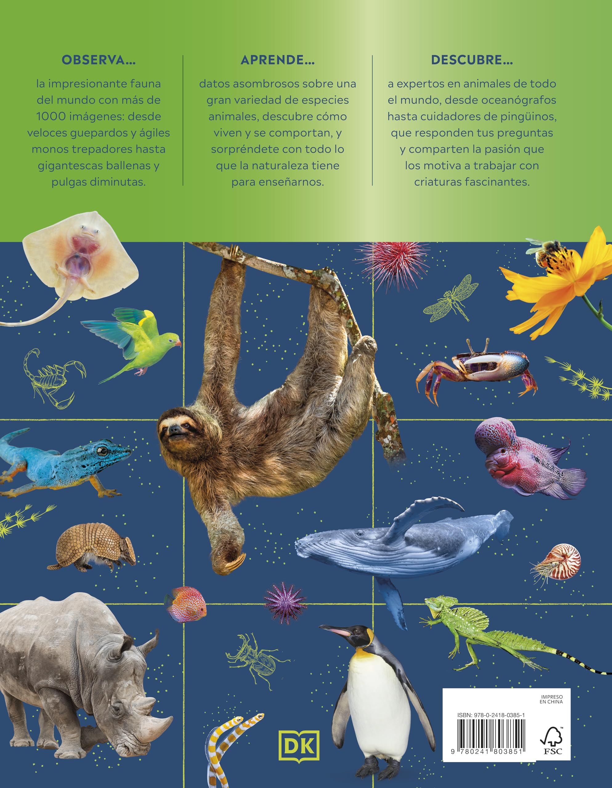 La superenciclopedia de los animales: Invertebrados | Peces | Anfibios | Reptiles | Mamíferos (Enciclopedia visual juvenil)