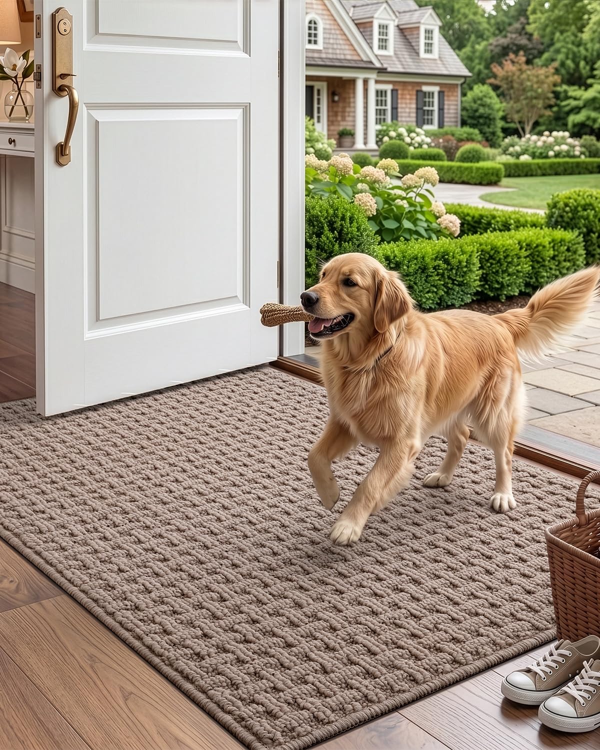 Amazon.com : DEXI Washable Door Mat Indoor Entrance, 24x36 Dirt