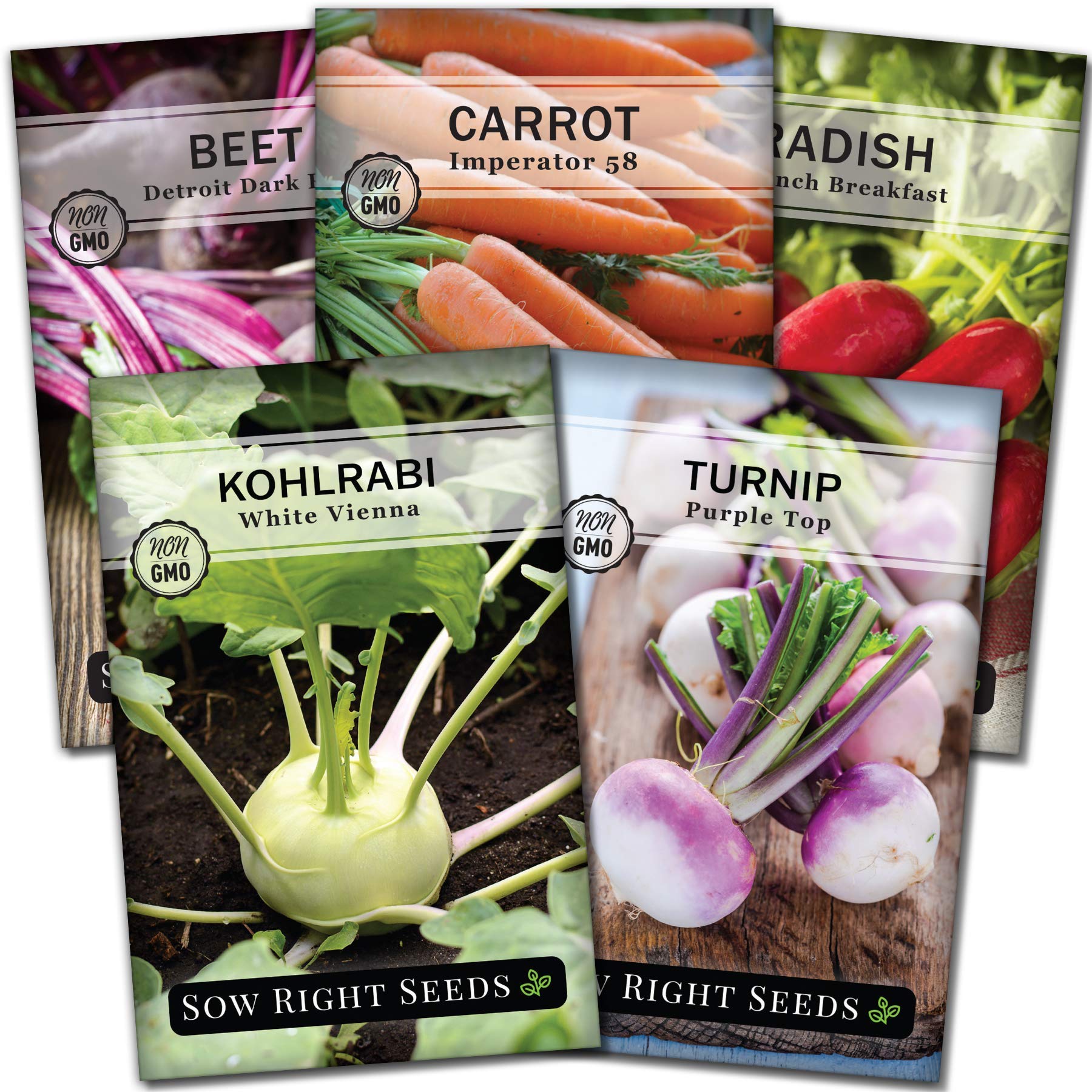 Sow Right Seeds - Root Vegetable Collection for Planting - Individual Packets of Beet, Carrot, Kohlrabi, Radish & Turnip - Non-GMO Heirloom Seeds to Plant an Outdoor Home Vegetable Garden
