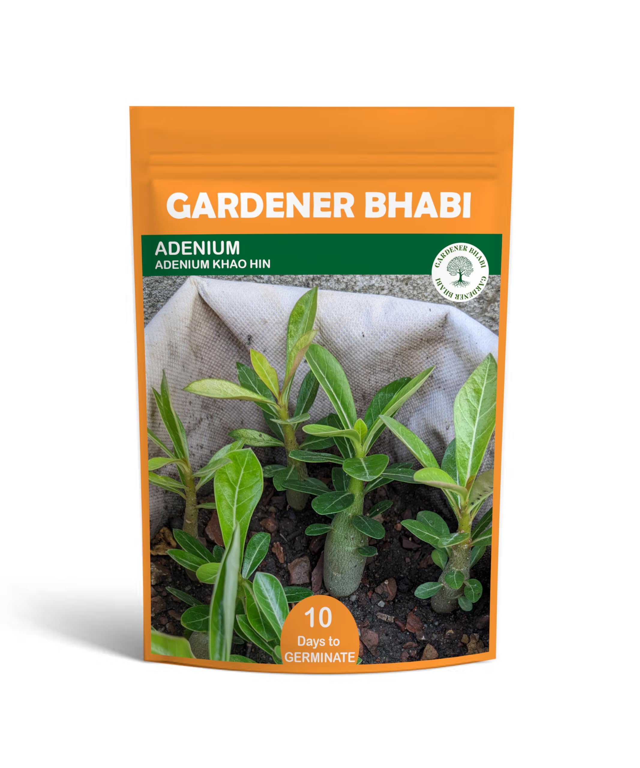 GARDENER BHABI Plant Seeds for Lawn/Balcony Gardening (Adenium Khao Hin)