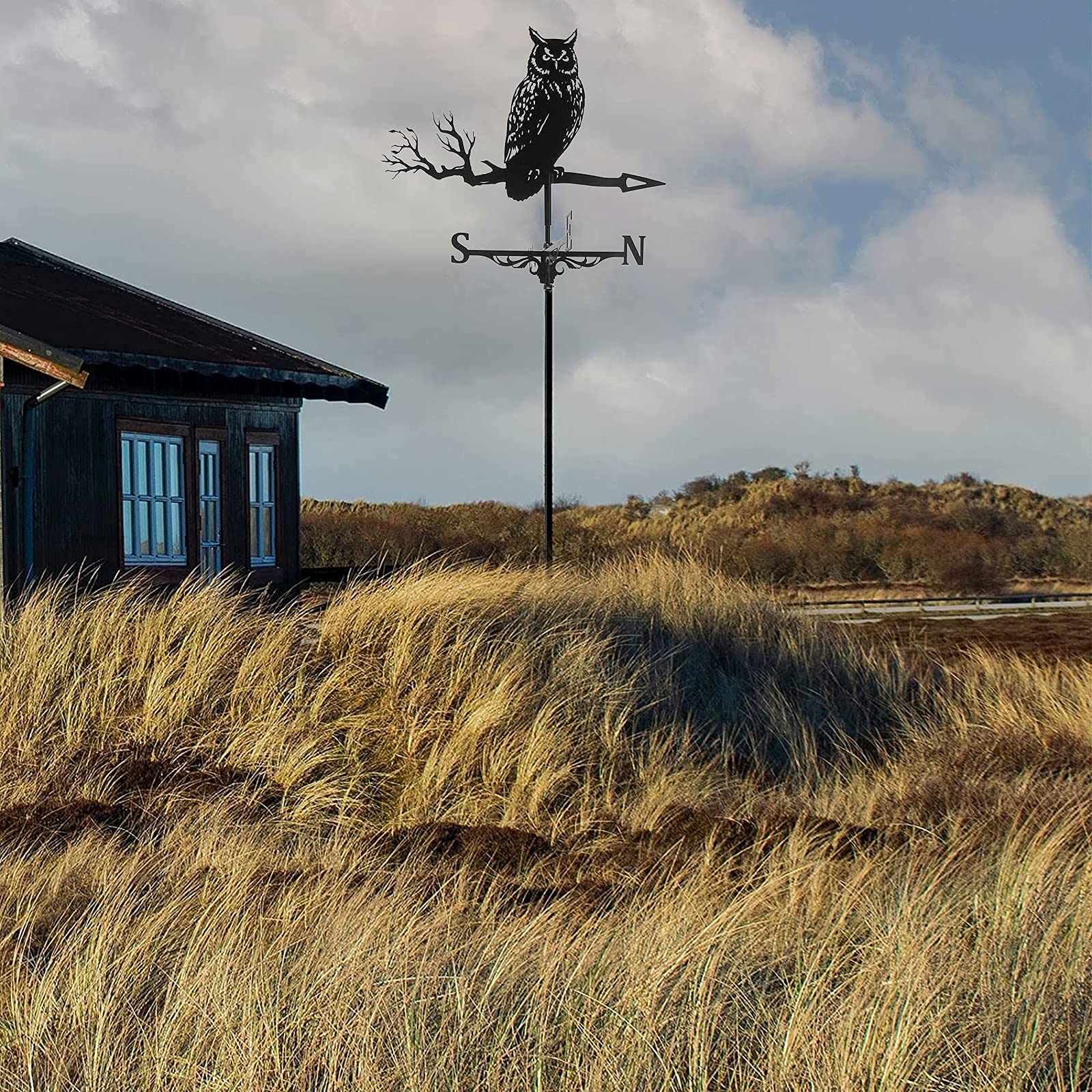 Aigle Et Souris Girouette Indicateur De Direction De Girouette Rétro En