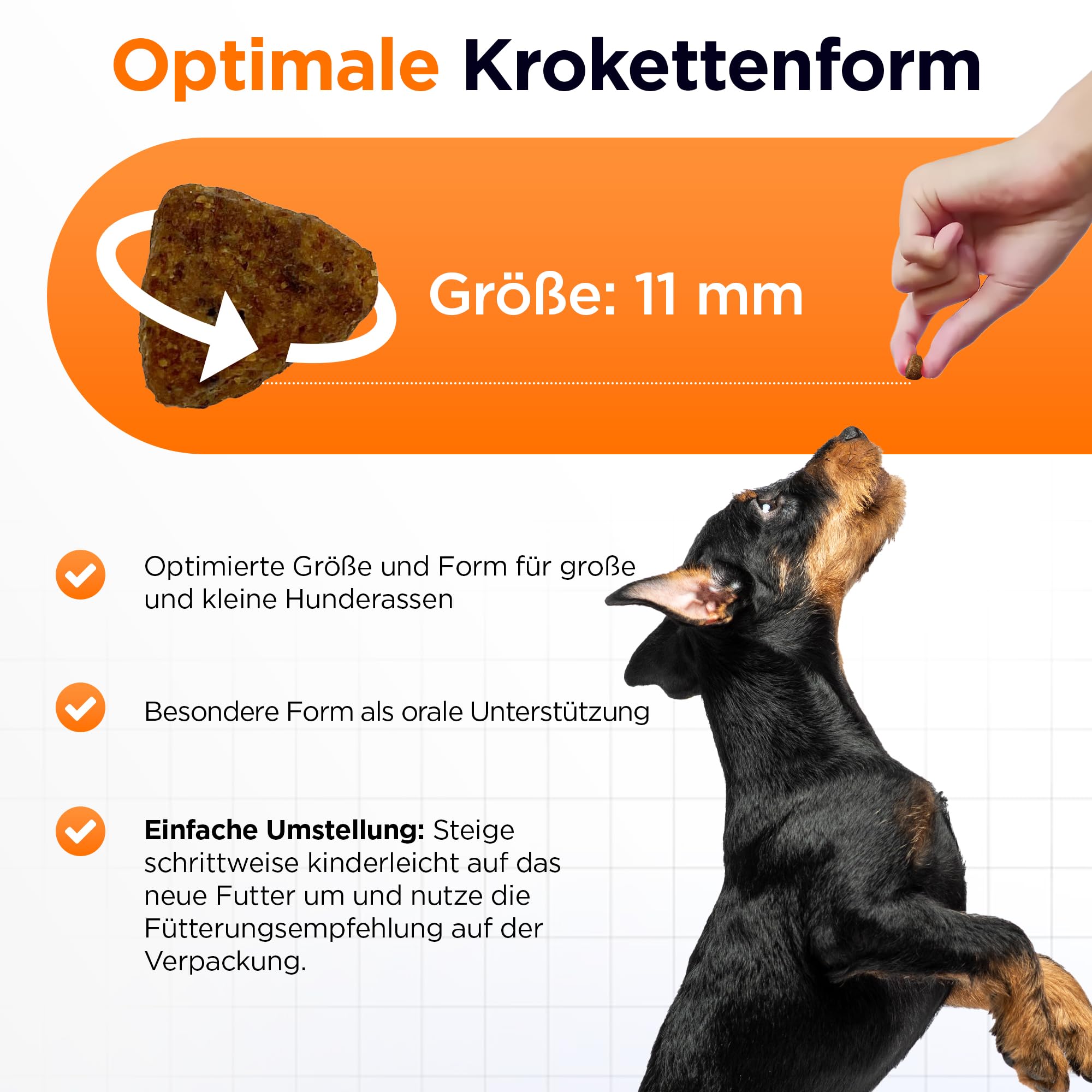 German Shephy Dog Food | Hypoallergen | Getreidefreies Hundefutter trocken | Lamm & Reis | Magen schonend für ernährungssensible Hunde | Mit hohem Fleischanteil (10kg)