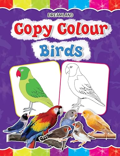 Copy Colour: Birds (copy Colour Books)