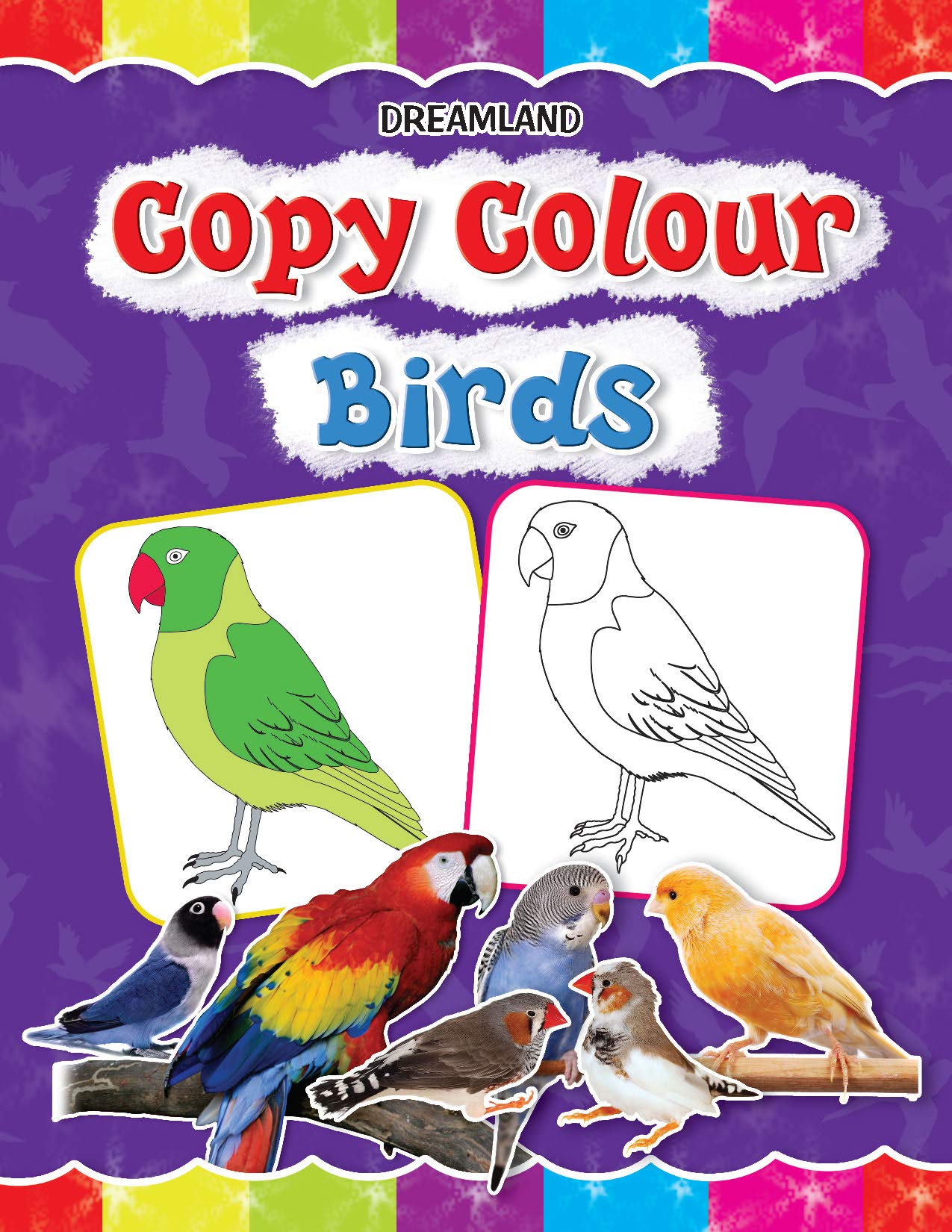 Birds Colouring Book for Kids Age 3–5 Years | Copy Colour: Birds | Fun Preschool Activity to Learn Colours & Bird Names | Large Images & Thick Paper for Easy Colouring | Early Learning Educational Book