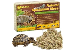 ZeeDix: Your Go-To Sphagnum Moss for a Thriving Reptile Habitat