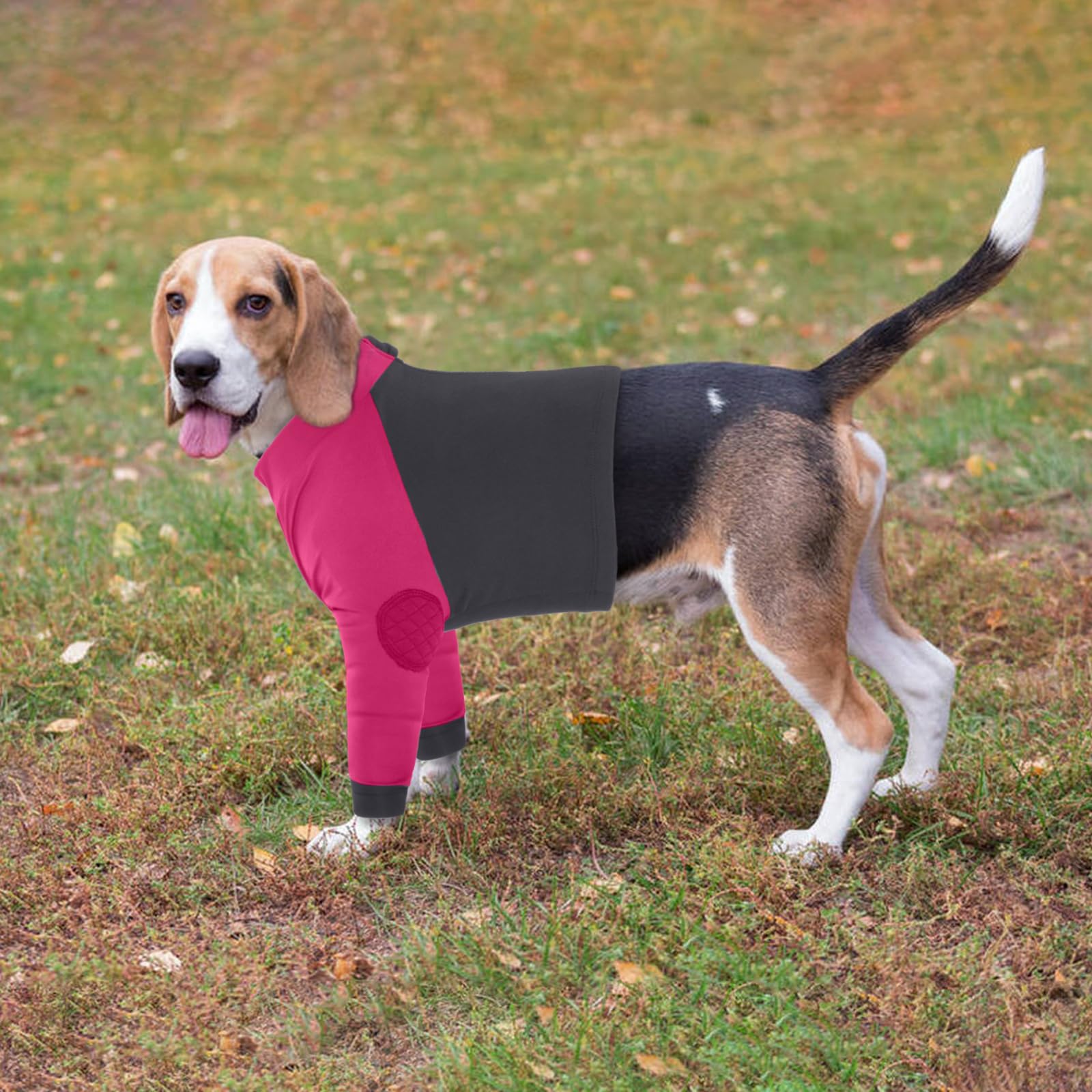 LeLePet Traje de recuperación para perros para patas delanteras, manga de perro para dejar de lamer, protector de codo para lesiones en las piernas, heridas de hombro después de la cirugía, macho y
