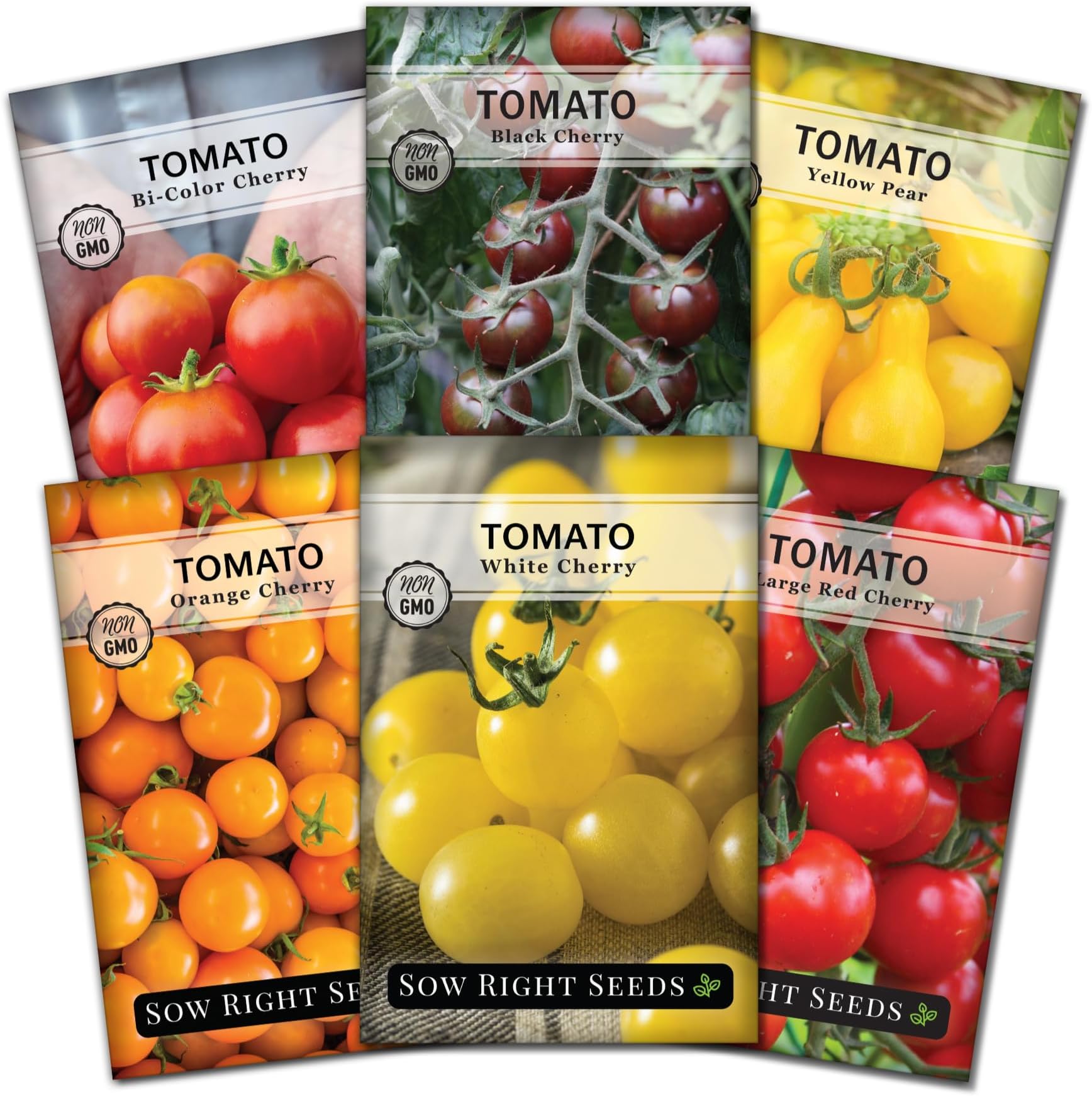 Sow Right Seeds - Cherry Tomato Seed Collection for Planting - Black, Large Red, White, Orange, Bi-Color Cherry and Yellow Pear Tomatoes - Non-GMO Heirloom Varieties to Plant a Home Vegetable Garden