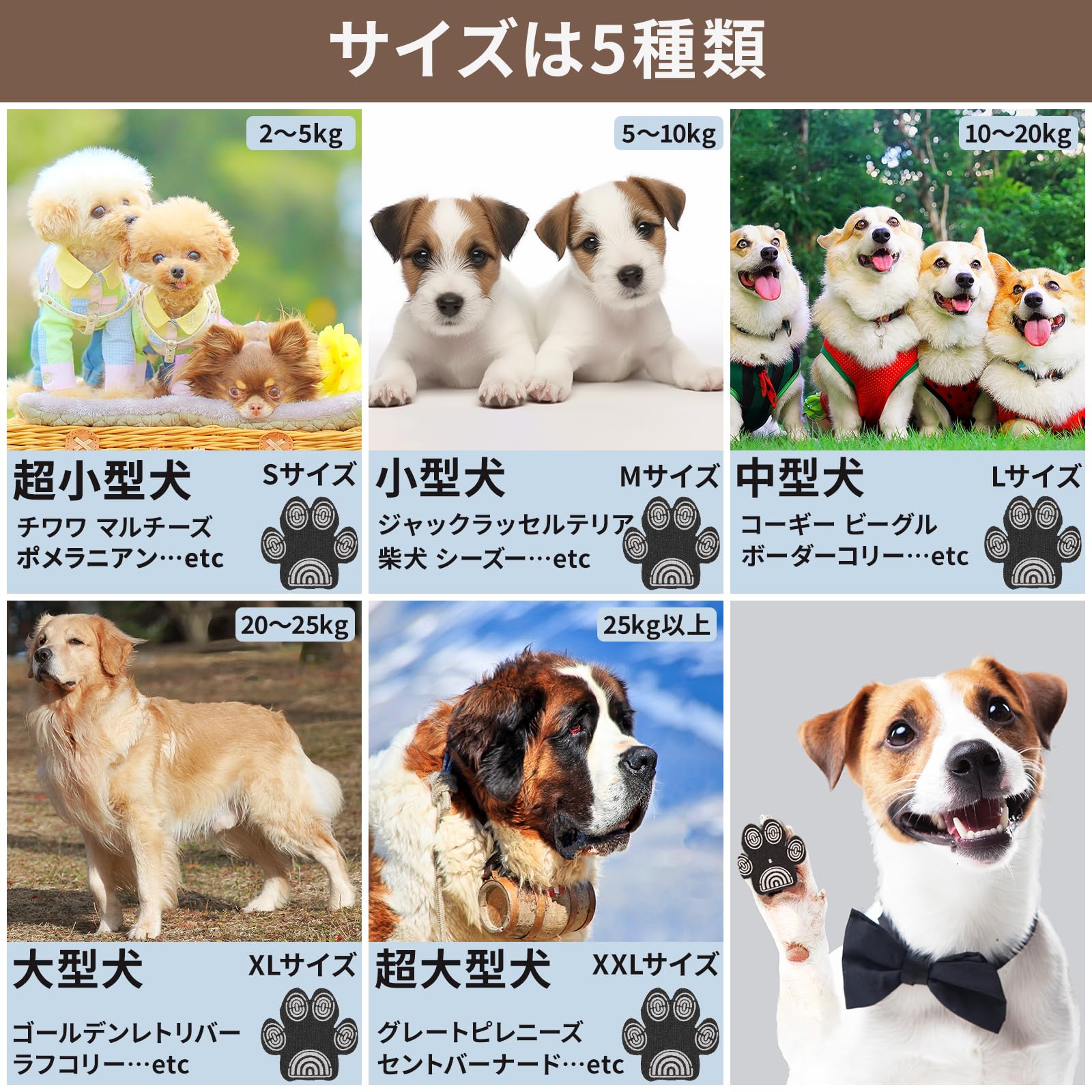 Amazon.co.jp: 株式会社アルタージュ 保護 犬 ペット パット シール