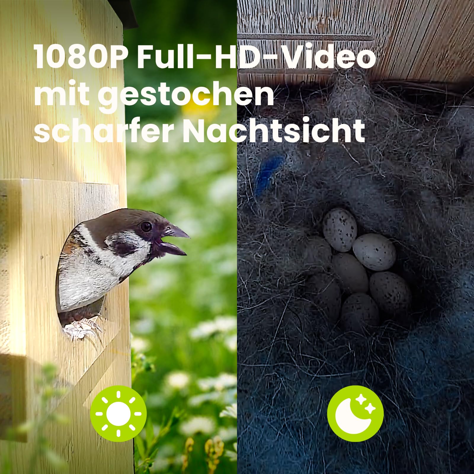 Birdfy Smart Vogelhaus mit Doppelkamera für Live Vogelbeobachtung, 1080P Bambus Nistkasten mit Kamera, Nachtsicht, KI-Verhaltensanalyse mit Benachrichtigungen & automatischen Aufnahmen