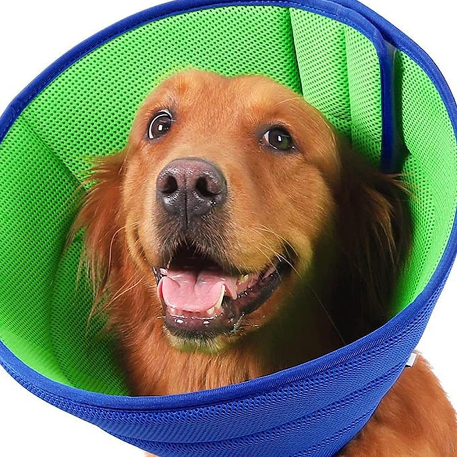 Recovery Collar Soft Licking Collar for Kittens and Puppies to Licking After Surgeries Soft Cats Cone