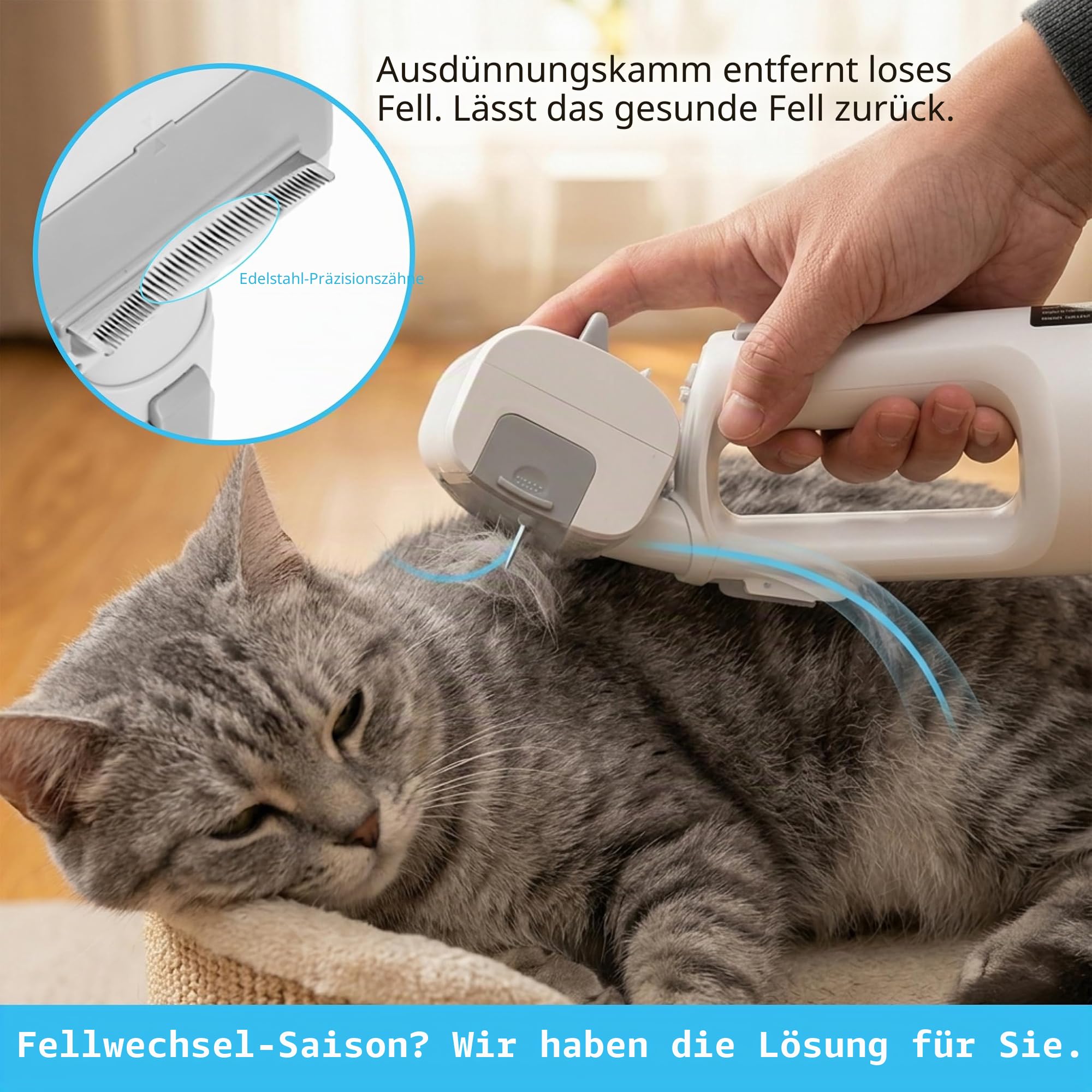 Haustierbürste mit Vakuum | 5-in-1 Haarausfall- & Vakuum-Werkzeug-Sets | DELOMENPA Haustierbürste mit Vakuum | 5-in-1 Haarausfall- & Vakuum-Werkzeug-Set