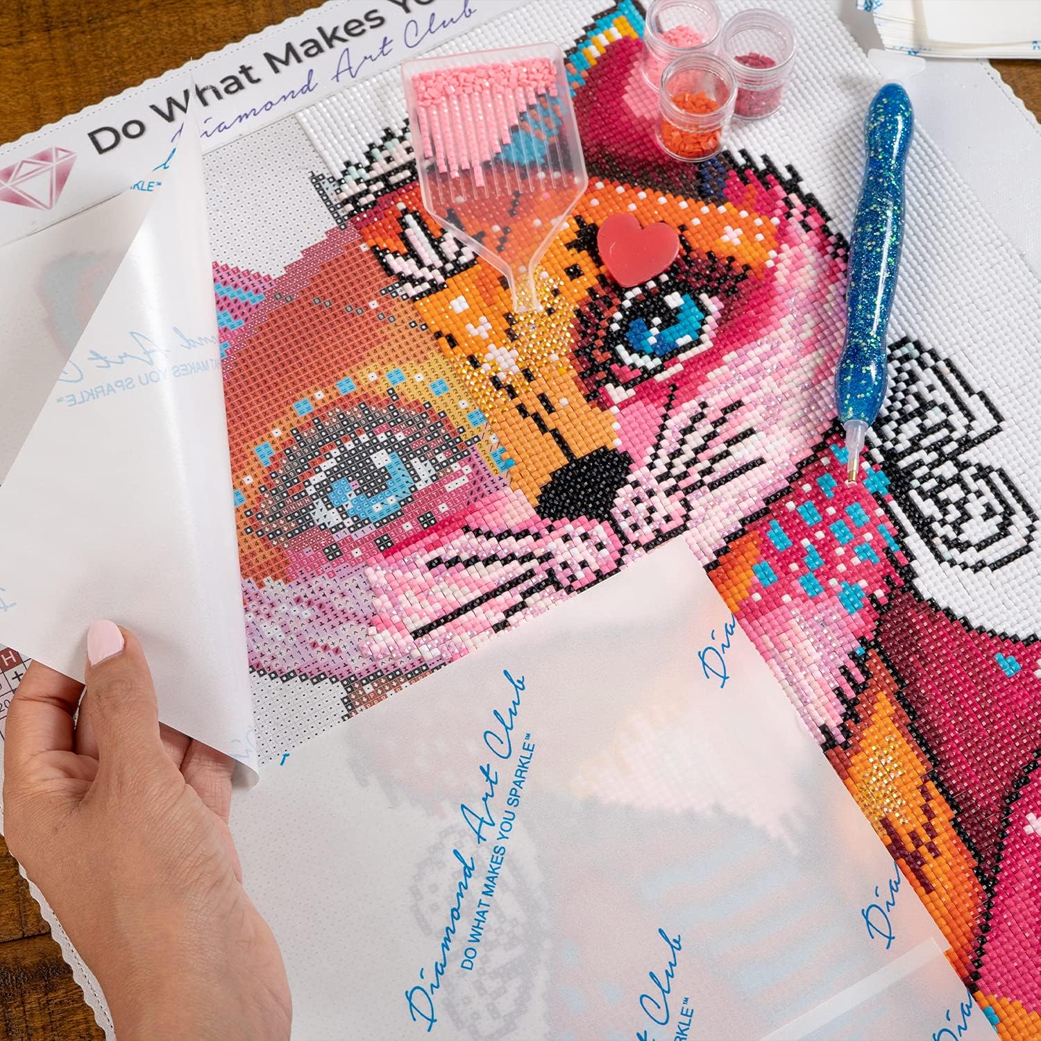 Amazon.com: Diamond Art Club 200-Piece Premium Diamond
