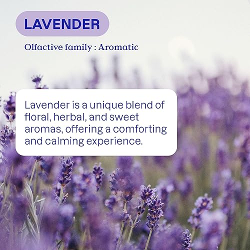 Miniatura 10 de ATTITUDE Detergente líquido para ropa, verificado por EWG, compatible con HE, a base de plantas y vegano, jabón natural para lavandería, flores