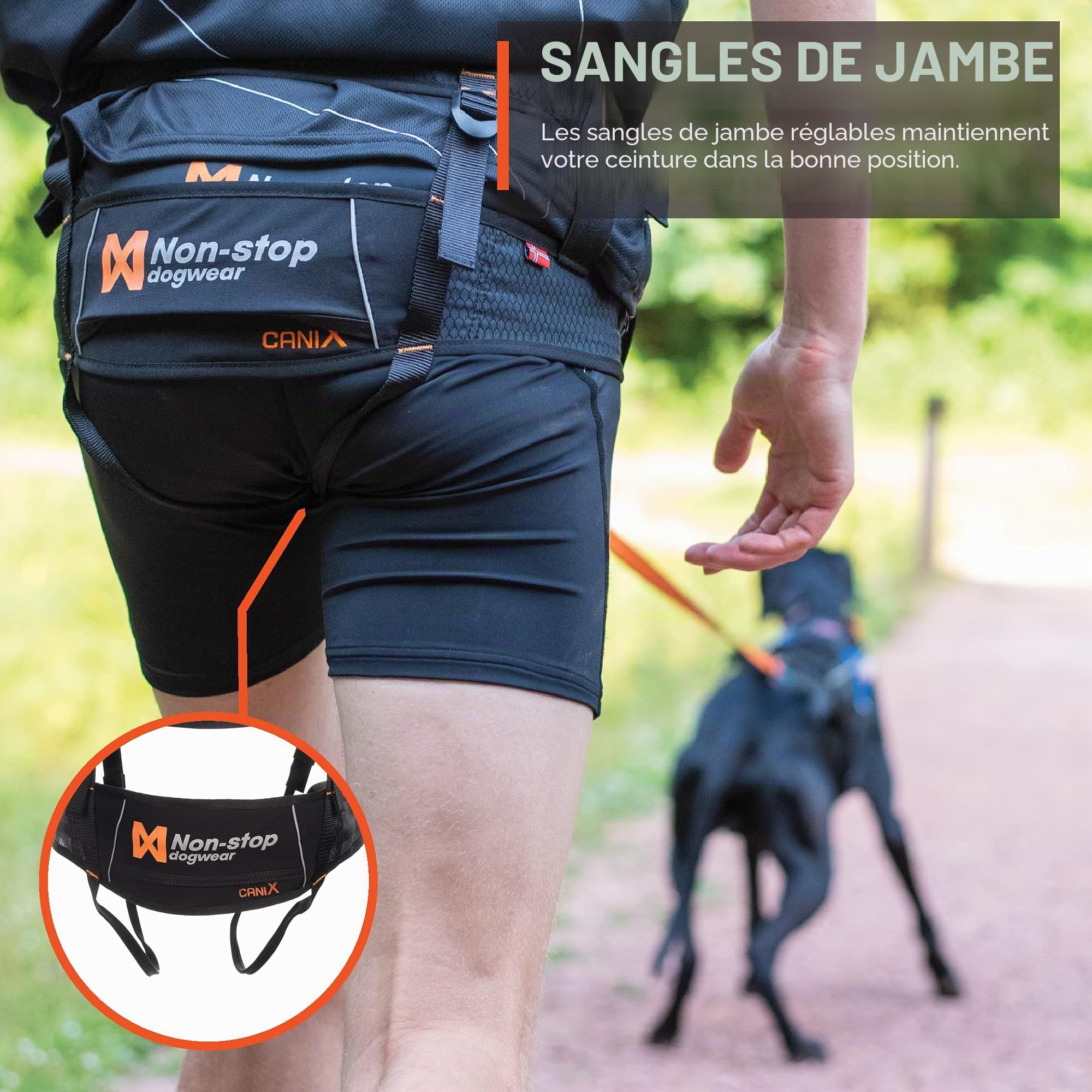 CaniX Belt Parent
