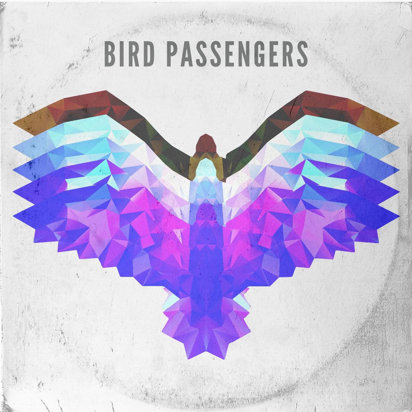 Bird Passengers