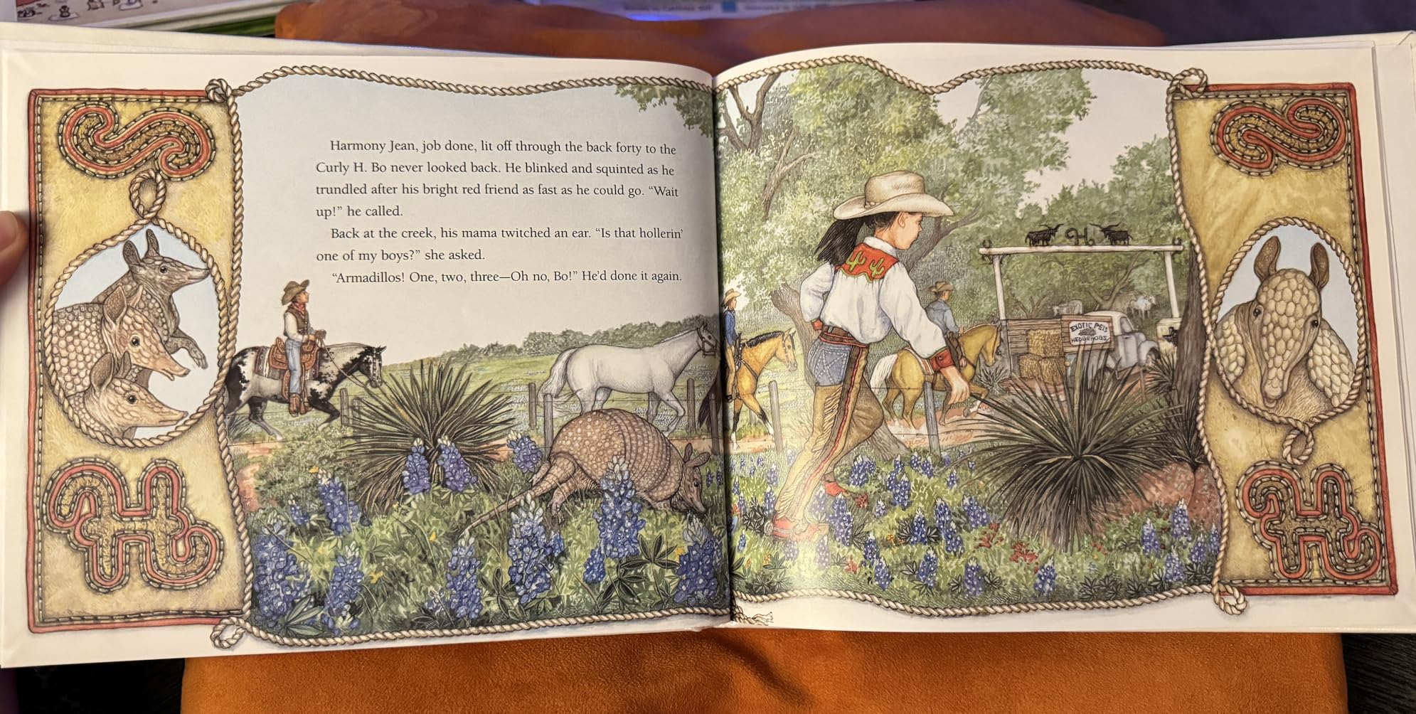 Armadillo Rodeo (Book and Audiocassette Edition): Jan Brett, Jane ...