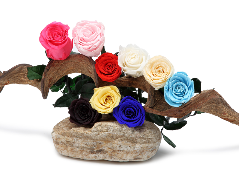 Flowers for Delivery Prime, Preserved Roses Flower Gifts for Women, Real Roses Single Rose Presents for Her, Mom Birthday Gifts from Daughter, Valentines Flowers Red Roses
