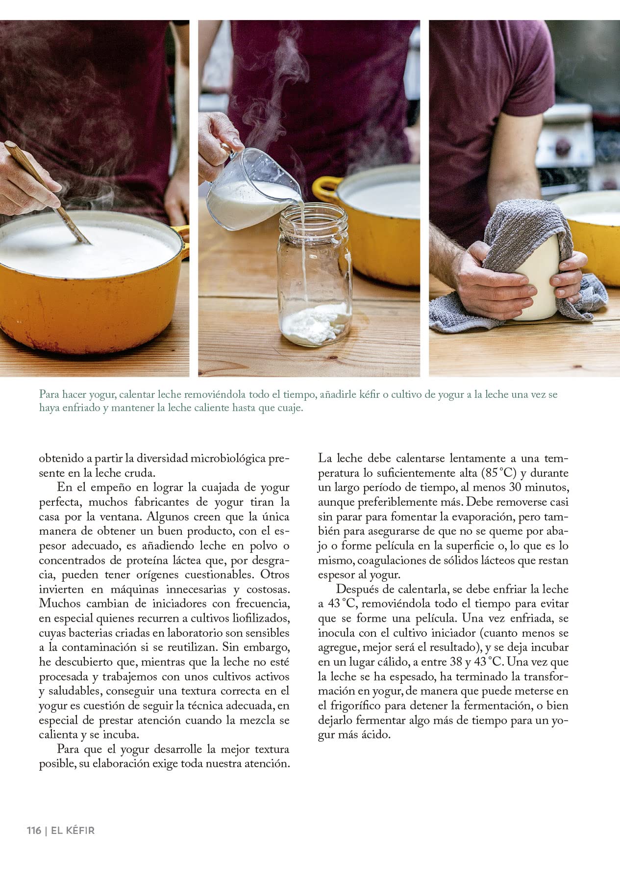 El arte de hacer queso (Los ilustrados)