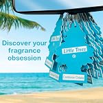 DÉSODORISANTS LITTLE pour voiture. Arbre suspendu fournit un parfum longue durée pour auto ou maison. Black Ice, 24 désodorisants