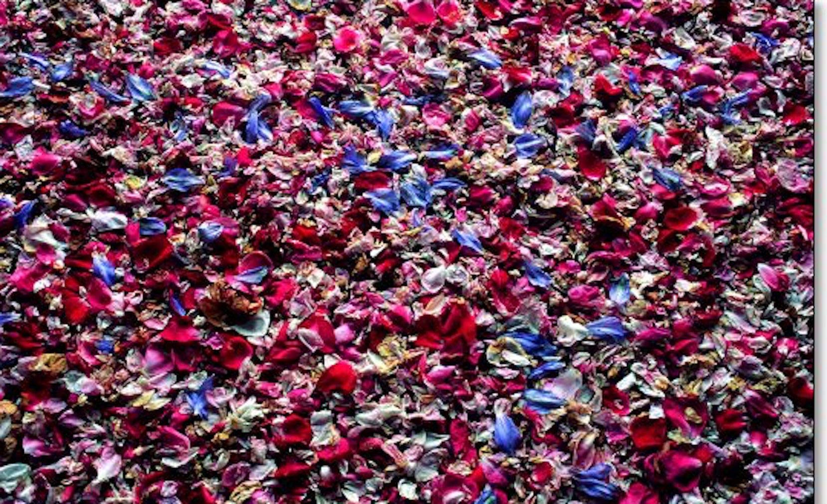 Lavender Scented Potpourri