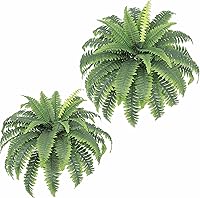 Vista 9 de Helechos artificiales para exteriores e interiores de 33 pulgadas de extensión, 2 tallos grandes, helecho Boston falso, plantas artificiales de seda