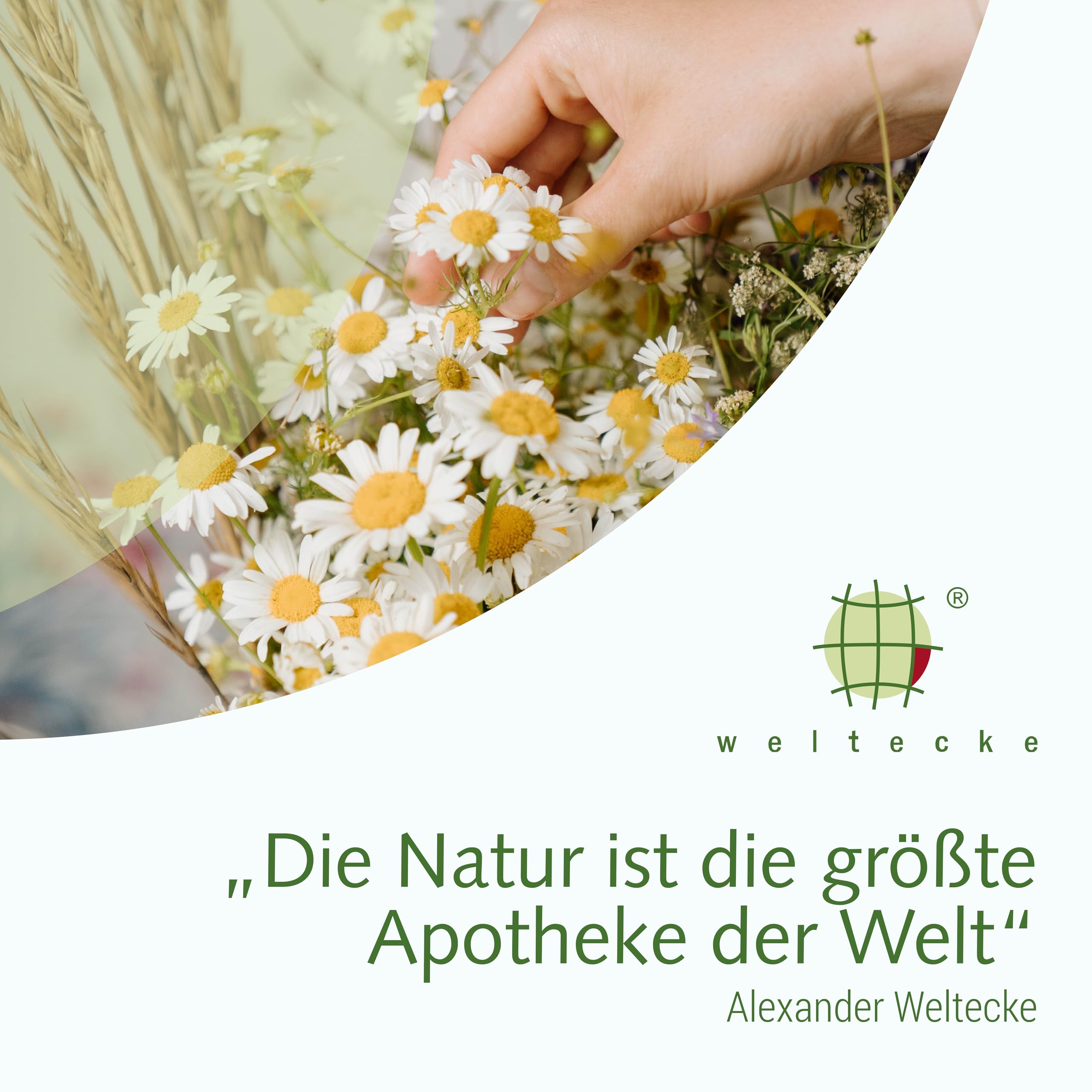 Weltecke Podstawowa sól do kąpieli lawendowa 2800 g | relaksująca kąpiel zasadowa o naturalnym zapachu lawendy | 100% wegańska | wellness dla skóry | wspomaga detoksykację i równowagę skóry | kąpiel