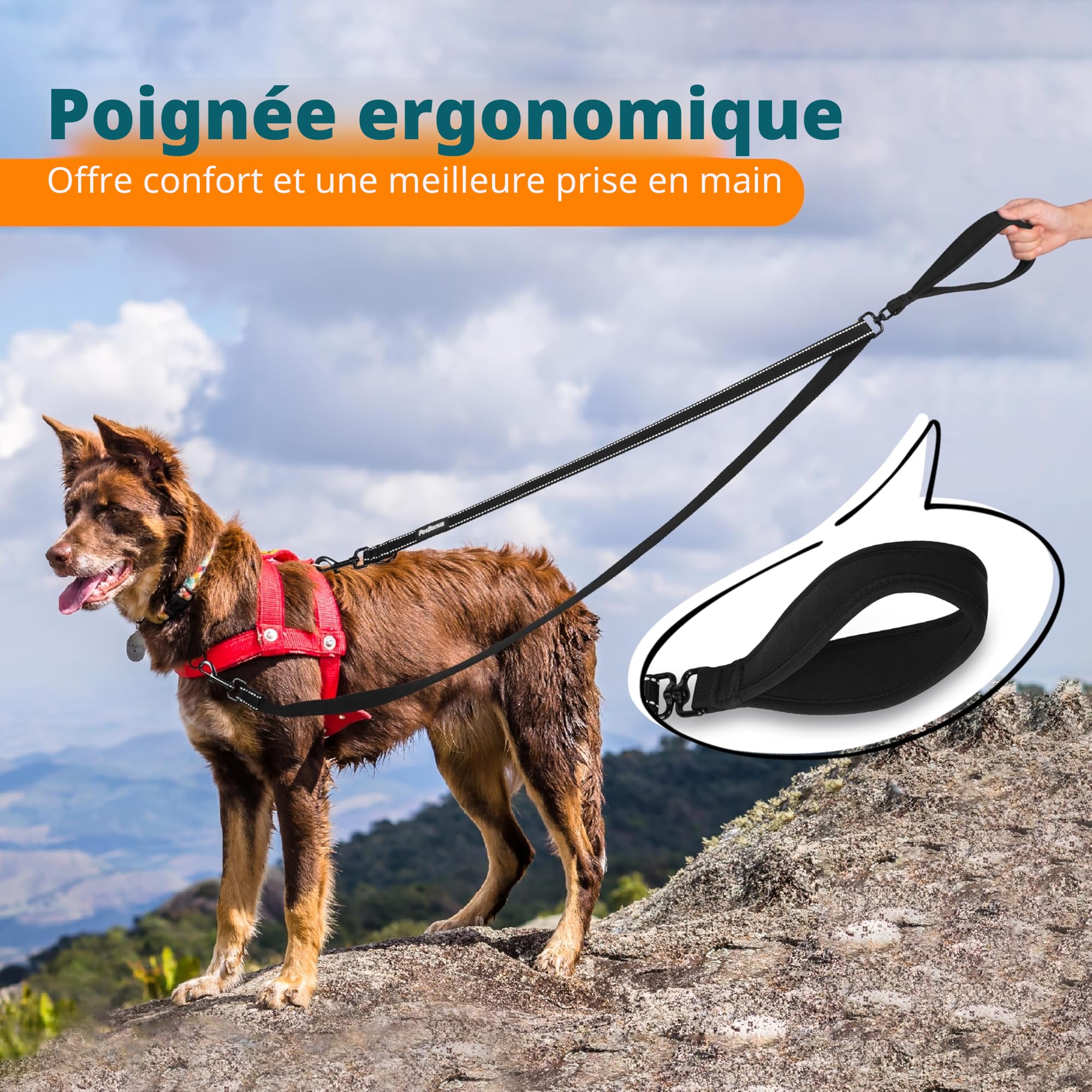 PetBonus Laisse Anti-Traction pour Chien, Double Laisse Anti-Traction réfléchissant, pour l'entraînement et la Marche, pour Chiens de Grande Taille et Moyenne (Noir)
