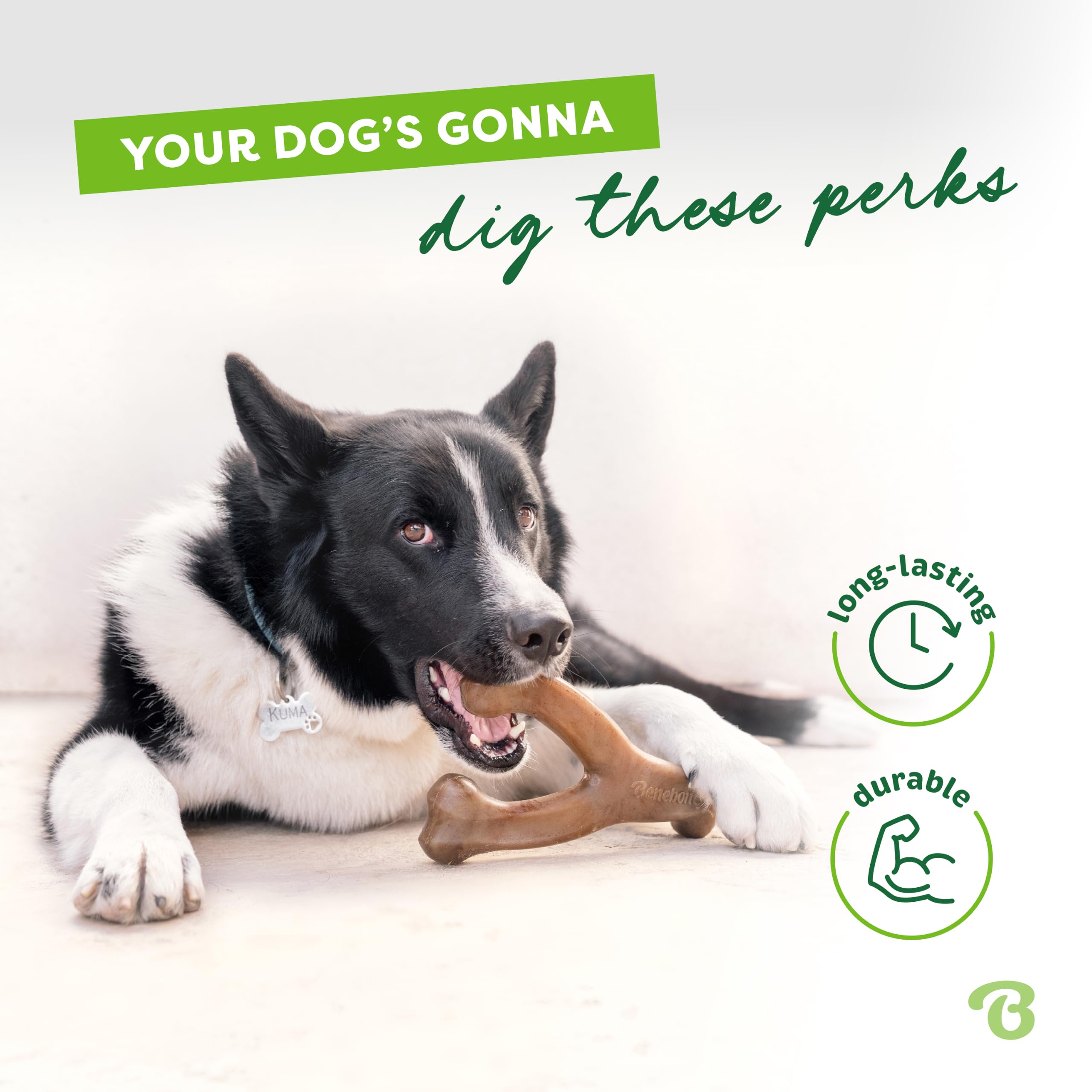 Benebone Wishbone - Giocattolo da masticare per cani, resistente, per masticatori aggressivi, vera pancetta e pollo, prodotto negli Stati Uniti, confezione da 2