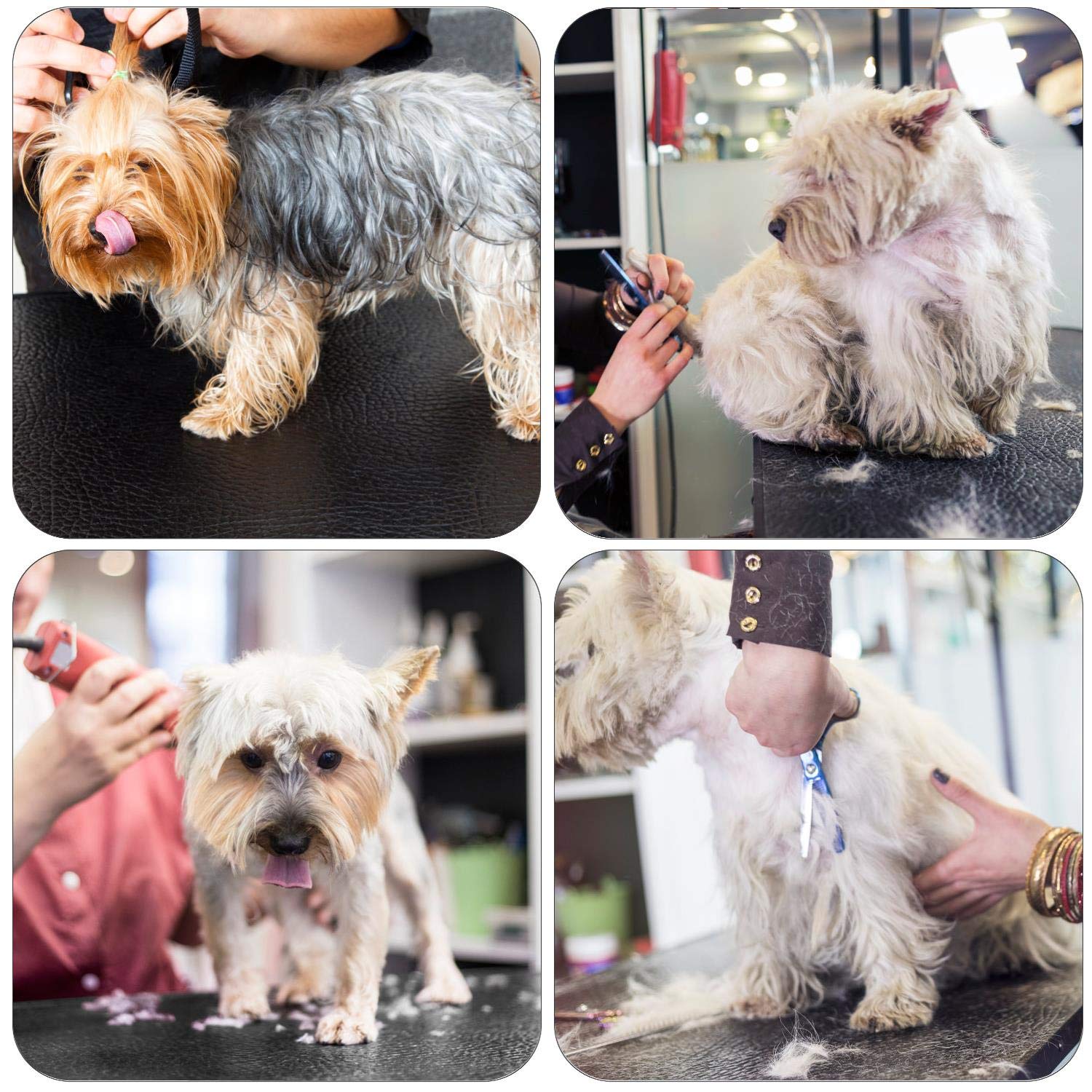 Yaheetech Mesa Peluquería para Perros Mesa Peluqueria Canina Mesa Plegable de Aseo para Canina Mascota Gatos/Altura Regulable