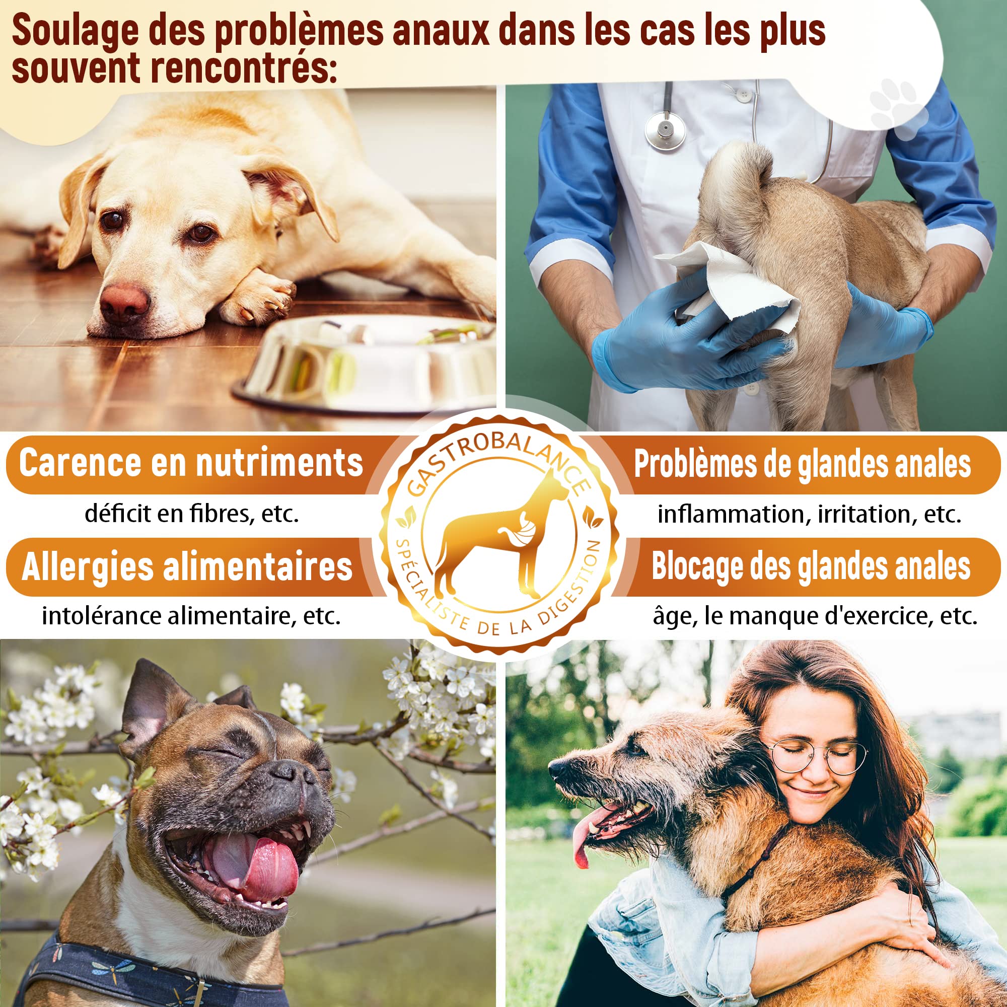 Tratamiento glándula Perro - 60 croquetas que vacían Bolsas glandulares del Perro - Sabor Bacon (Español)