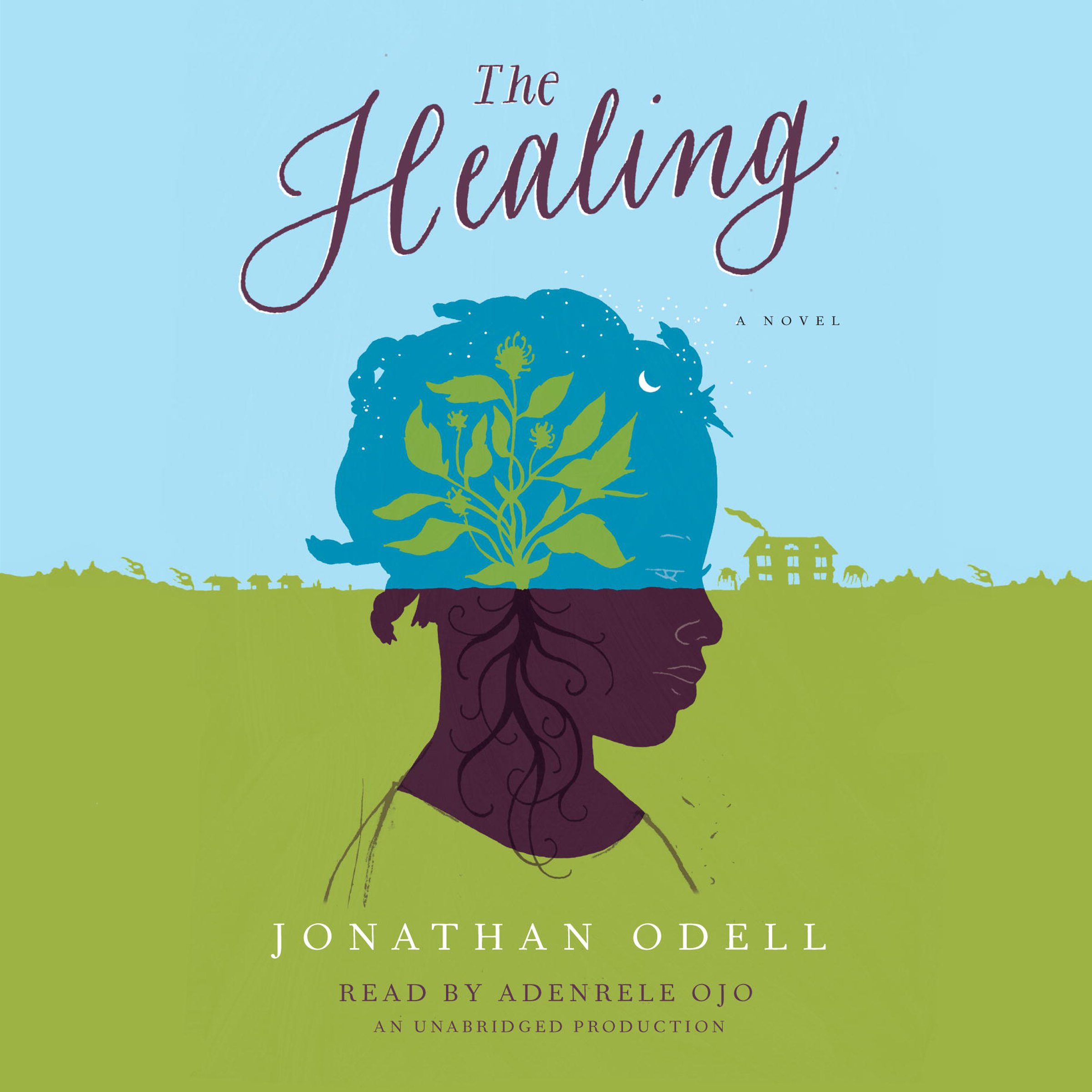 Cover art for The Healing