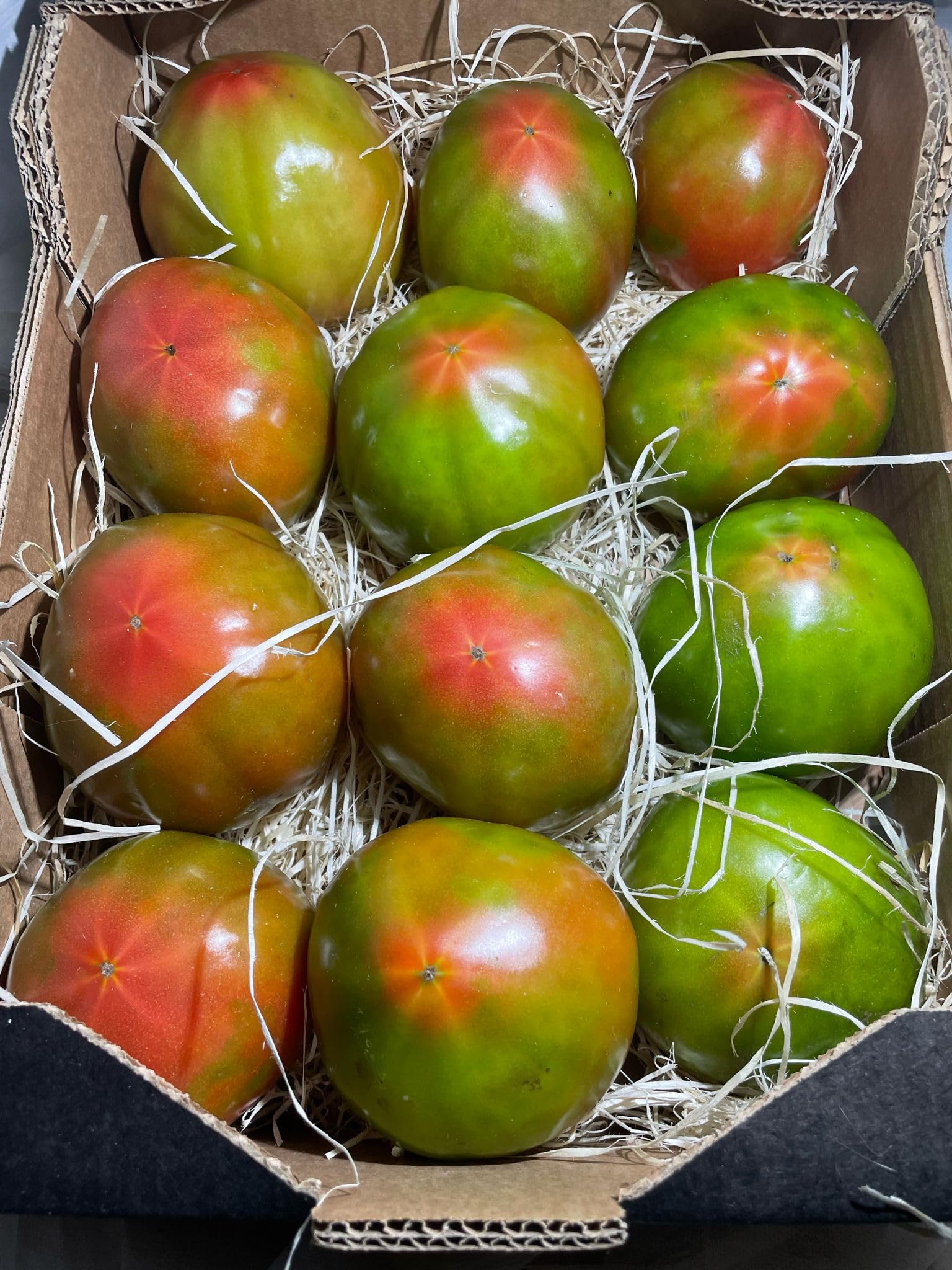 Optima Tomate Ecologico Valenciano