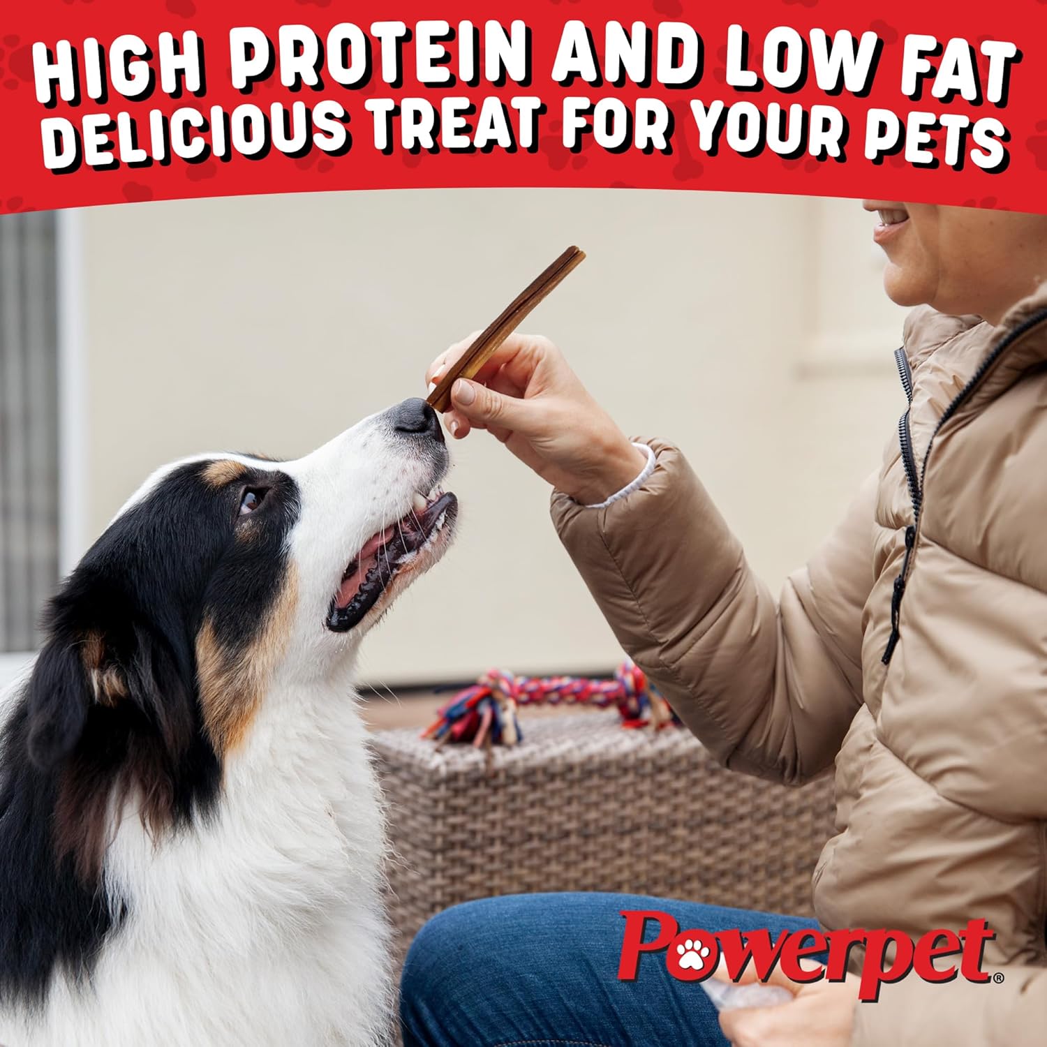 Powerpet 100% Natural Bully Stick - High Protein, Low Fat, Healthy Dog Treats, Long-Lasting Dog Chews, Easily Digestible, Cleans Teeth, Low Odor, for All Breeds & Sizes, 6" - 10 Count