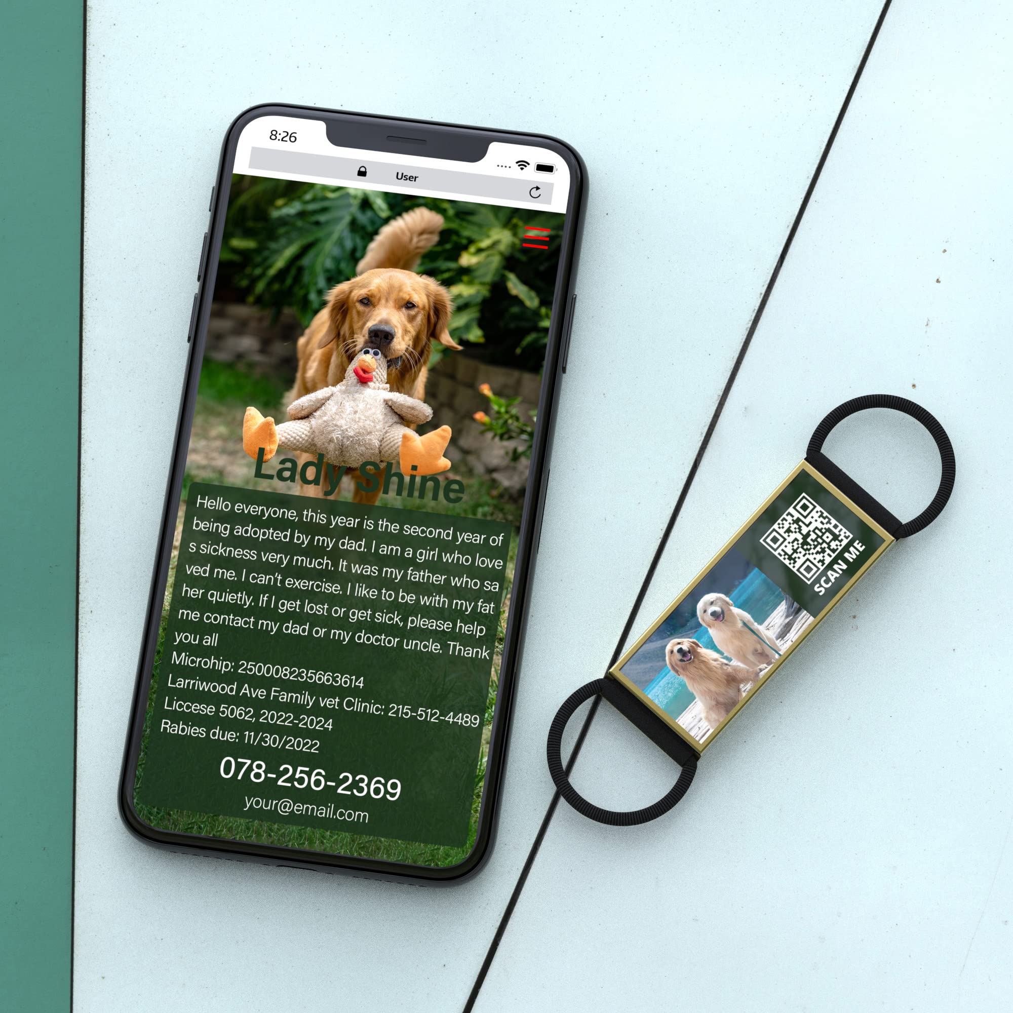 Targhetta Medical Alert A Forma Di Cane PDU 39102 &ndash; Incisione Gratuita, Con Catena O Portachiavi
