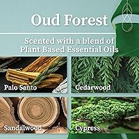 Vista 9 de Hemlock Park Vela de mecha de madera ámbar y dorada hecha a mano con cera de coco natural (estándar de 7.2 onzas, ámbar)