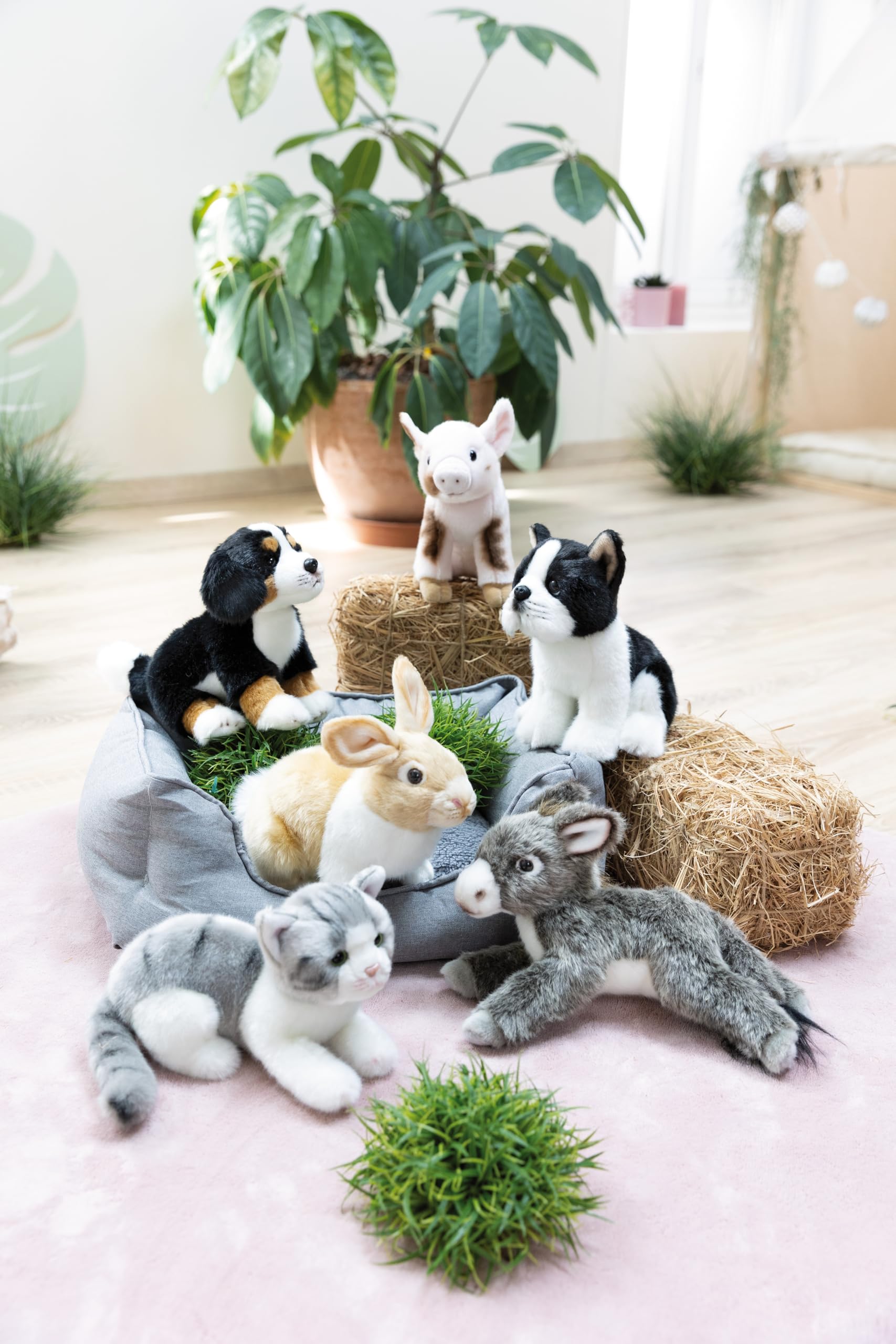 NICI Cane con Cuccia 12 cm – Sleeping Pets Cucciolo di Cocker Spaniel per Bambine, Bambini e Neonati – Pupazzo Imbottito per Le Coccole, i Giochi e la Nanna – Morbidi Animali