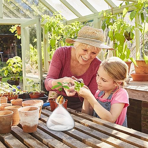 Miniatura 6 de Jarrón de inicio de semillas de aguacate, jarrón de aguacate para cultivo, kit de cultivo de semillas de aguacate, vidrio para plantas con