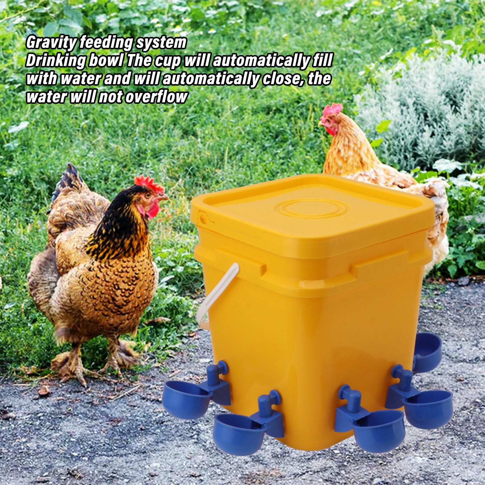 Automatische Drinkbakset voor Kippen, 12 Liter, Gevogeltedrinkautomaat, Automatische Drinkdispenser met Emmer, Kippenhok, Waterdispenser, (Emmer Grote Blauwe Kom Zwarte