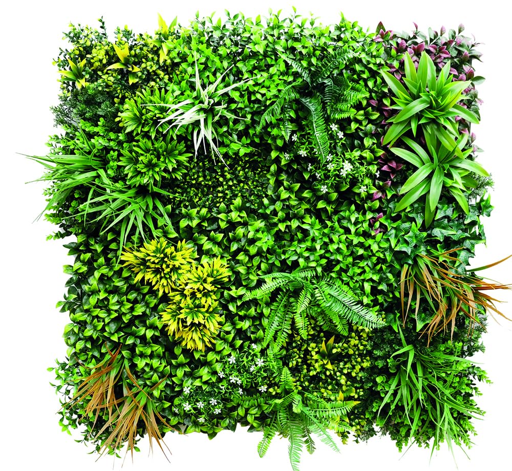 VERDELOOK | Siepe Artificiale Sempreverde Ecuador Foglia Mista 1x1 m, Pannello Siepe Decorativa in PE con Sistema ad Incastro “Point”, Siepe Sintetica Stabilizzata UV per Pareti e Balconi