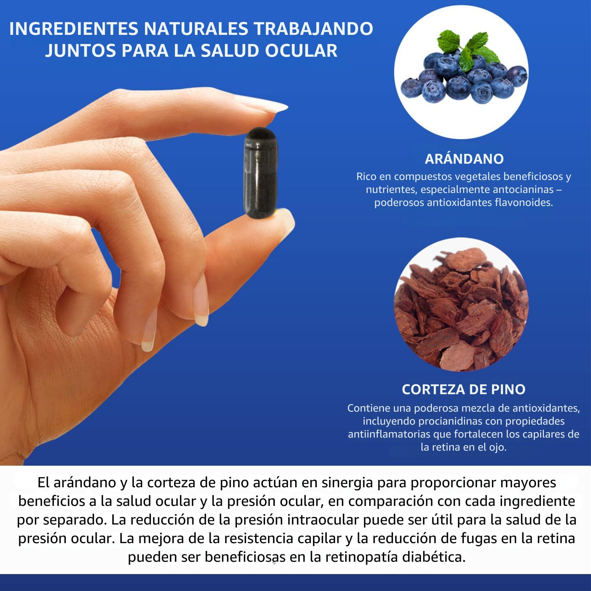 Suplemento de extracto de corteza de pino y arándano: VISION DEFENDER BP - Potentes antioxidantes naturales, antocianinas y procianidinas para la presión ocular y la salud ocular (60 cápsulas veganas)