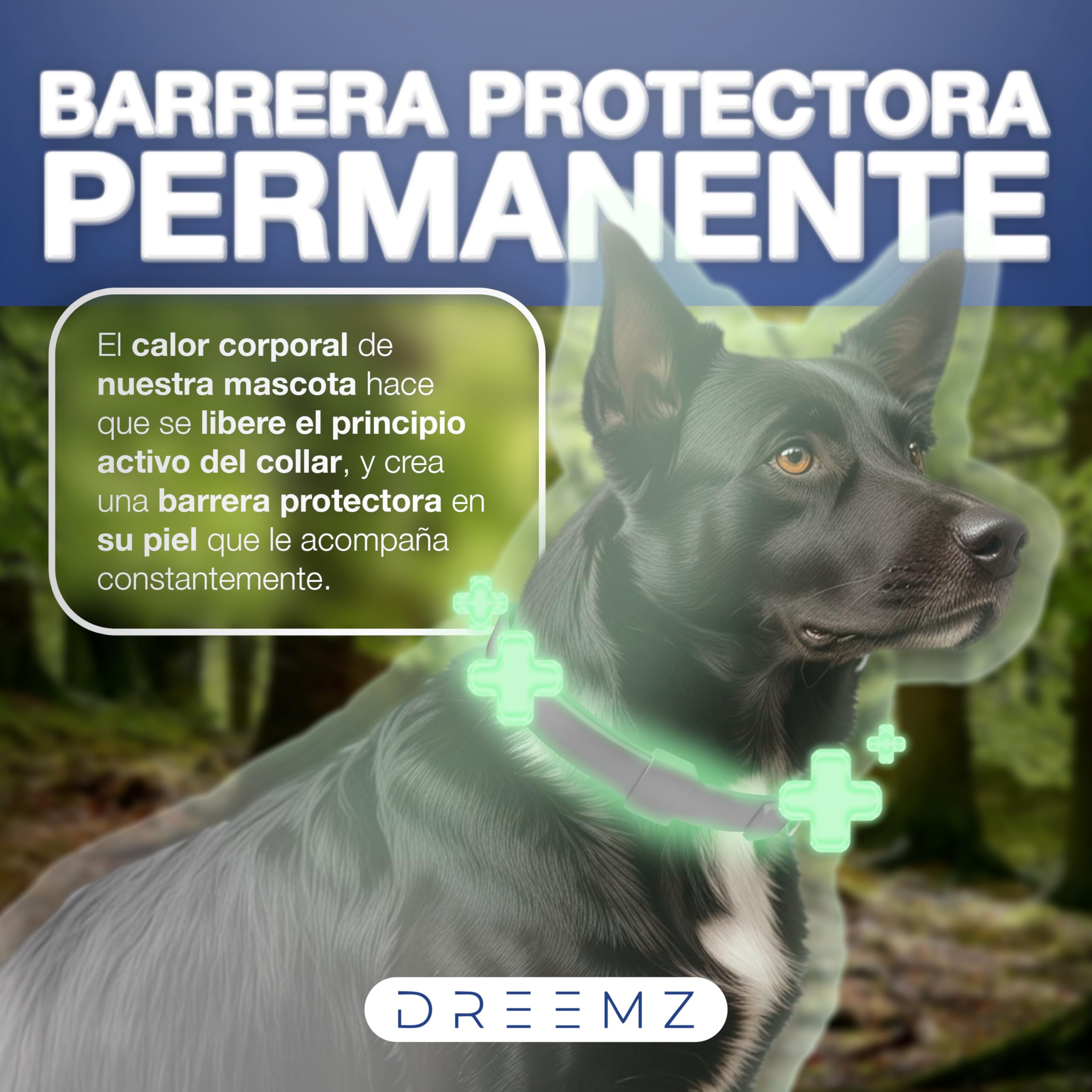 DREEMZ Collar Repelente de Insectos - Antipulgas Perros, garrapatas y Mosquitos, 8 Meses protección-63cm -100% Vegetal-Impermeable - Formatos (1 Und Gris) - 5