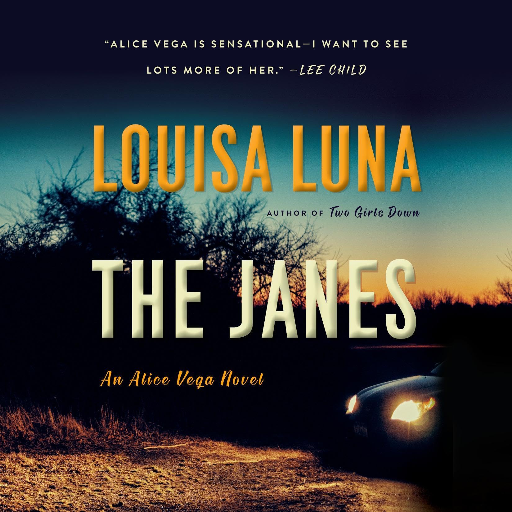 Cover art for The Janes