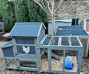 Review Image by Anne Anne