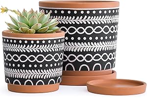 D'vine Dev Black and White Planter Set