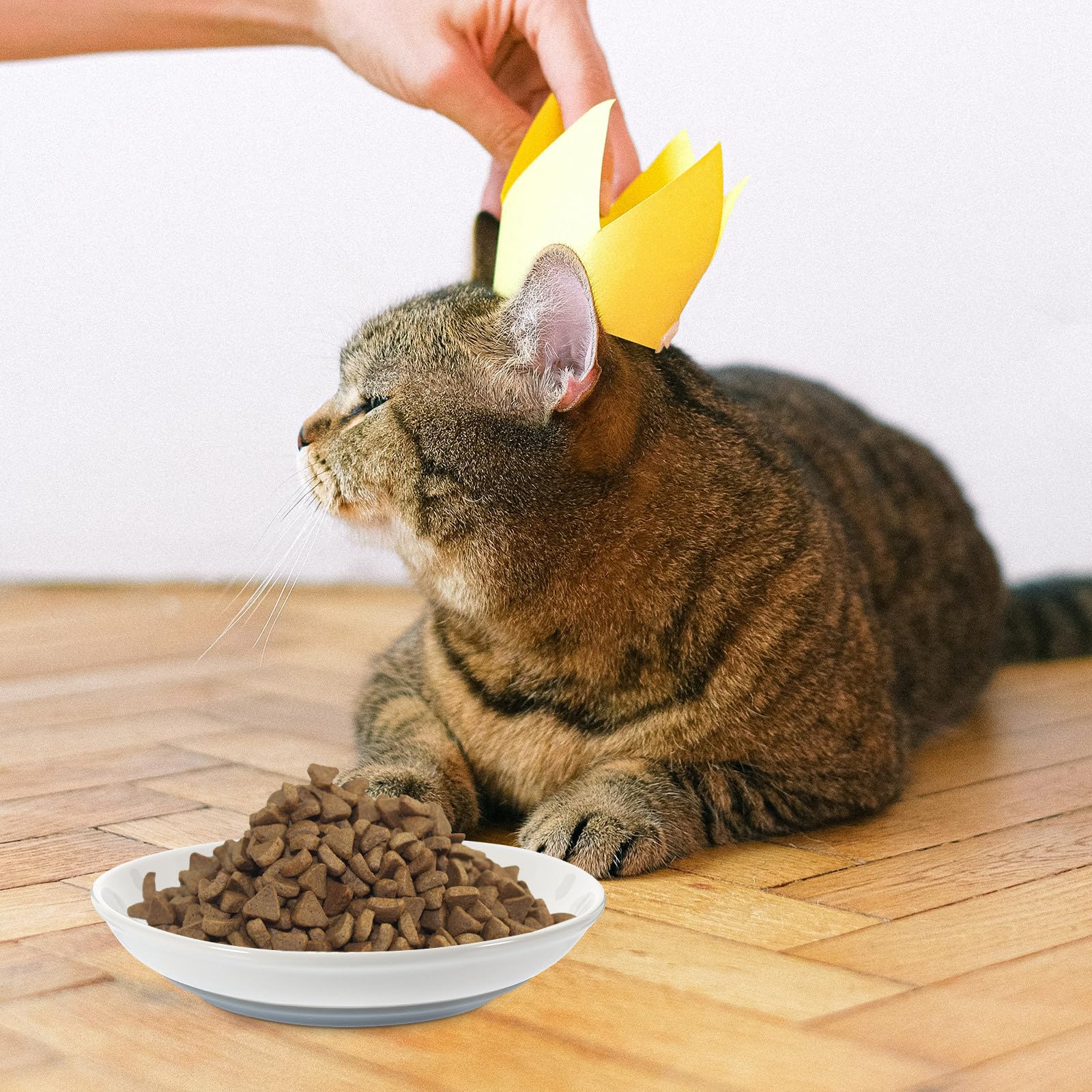 TOYANDONA 3 Pezzi Ciotole per Gatti in Ceramica Fondo in Silicone Antiscivolo, Ciotola Rotonda Bassa e Larga per Cibo e Acqua, per Gatti Piccoli e Alimentazione Quotidiana
