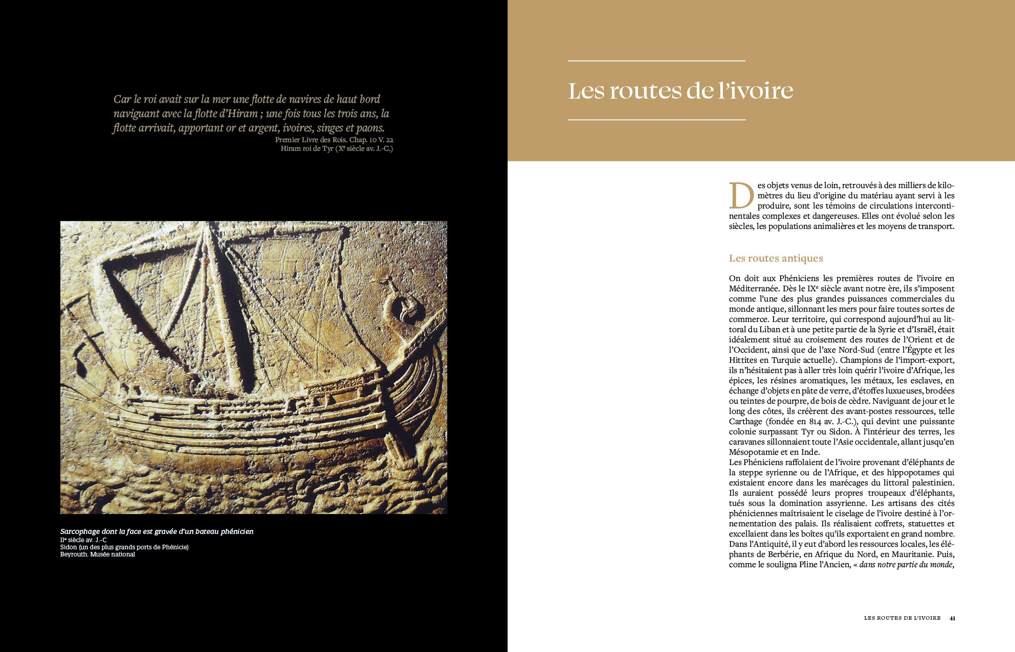 Ivoire. Secrets de l'or blanc