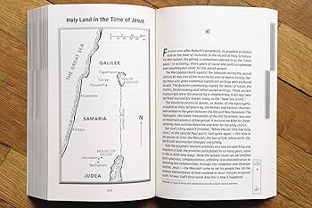 NIV, The Story, Student Edition, Paperback, Comfort Print: The