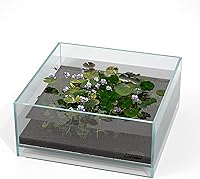 Vista 11 de LANDEN 60L 5.8 Gal Acuario sin Montura de Hierro Bajo Largo para Peces, Acuario para Estantería, W23.6×D7.87×H7.87 in(60x20x20cm) 5mm de Grosor